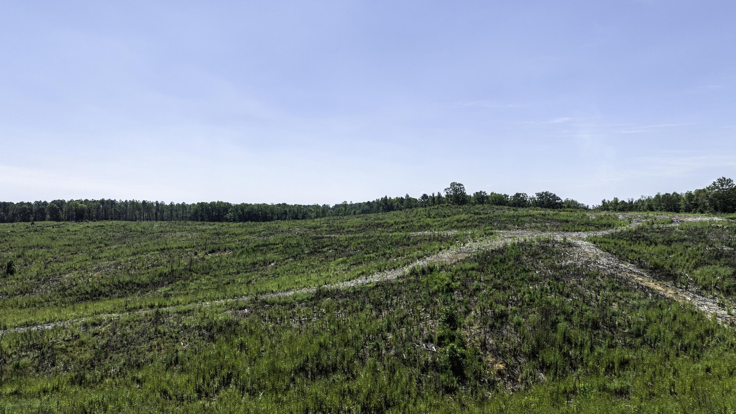 Gray Court, South Carolina, 29645, United States, ,Land,For Sale,1979531