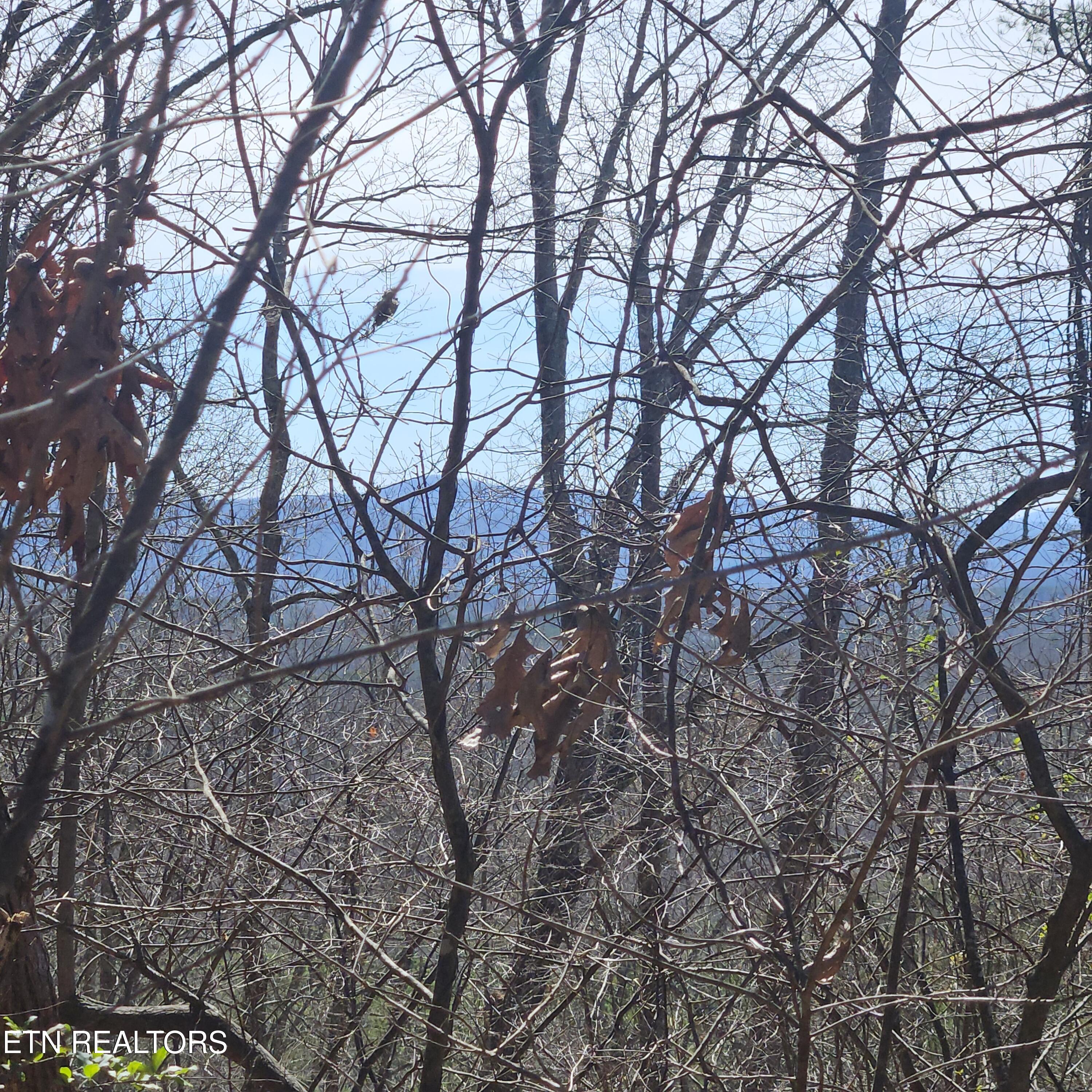 Tellico Plains, Tennessee, 37385, United States, ,Residential,For Sale,1922105