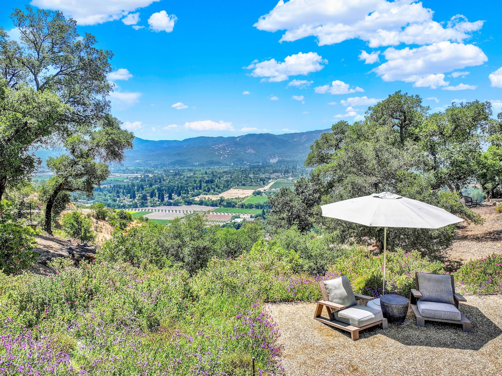  Exceptional Napa Valley Estate Set On 40 Private Acres - 物件實景