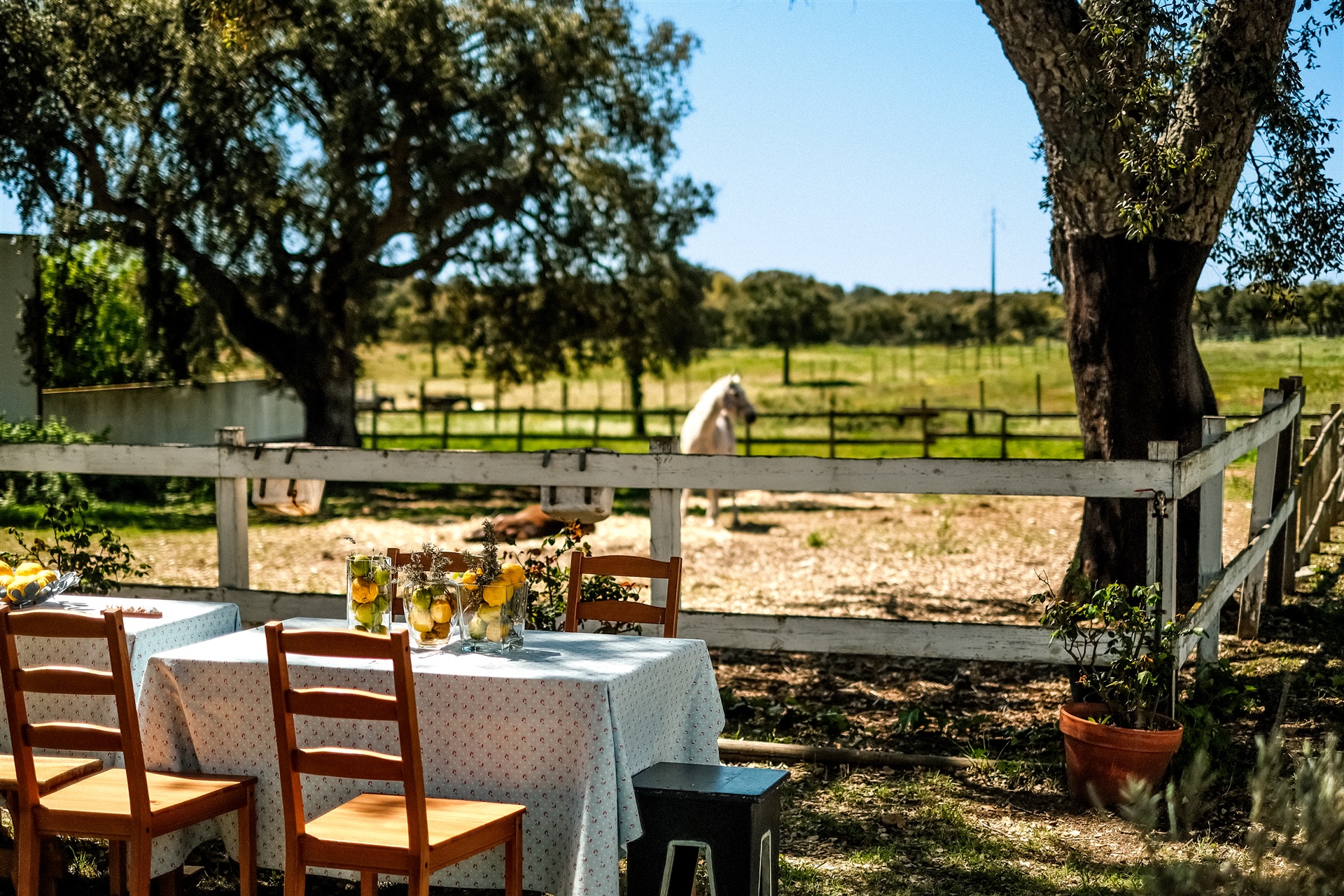  Country Estate, 6 bedrooms, for Sale - 物件實景