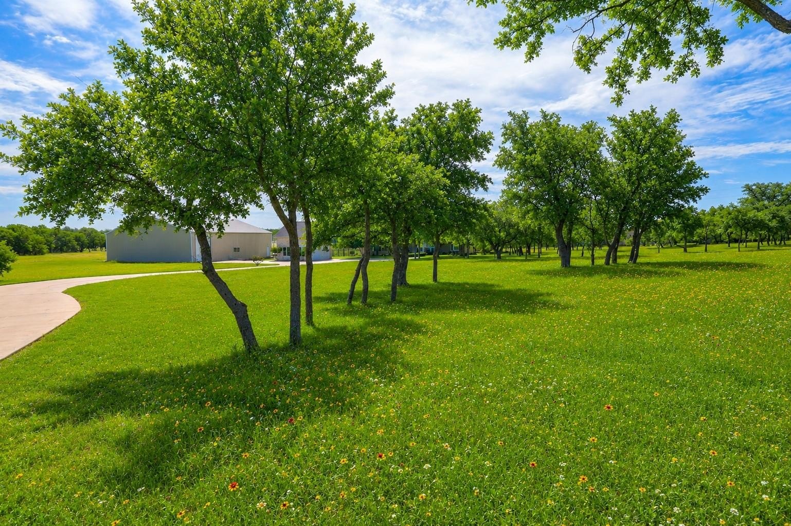 Georgetown, Texas, 78633, United States, 4 Bedrooms Bedrooms, ,3 BathroomsBathrooms,Residential,For Sale,2029611