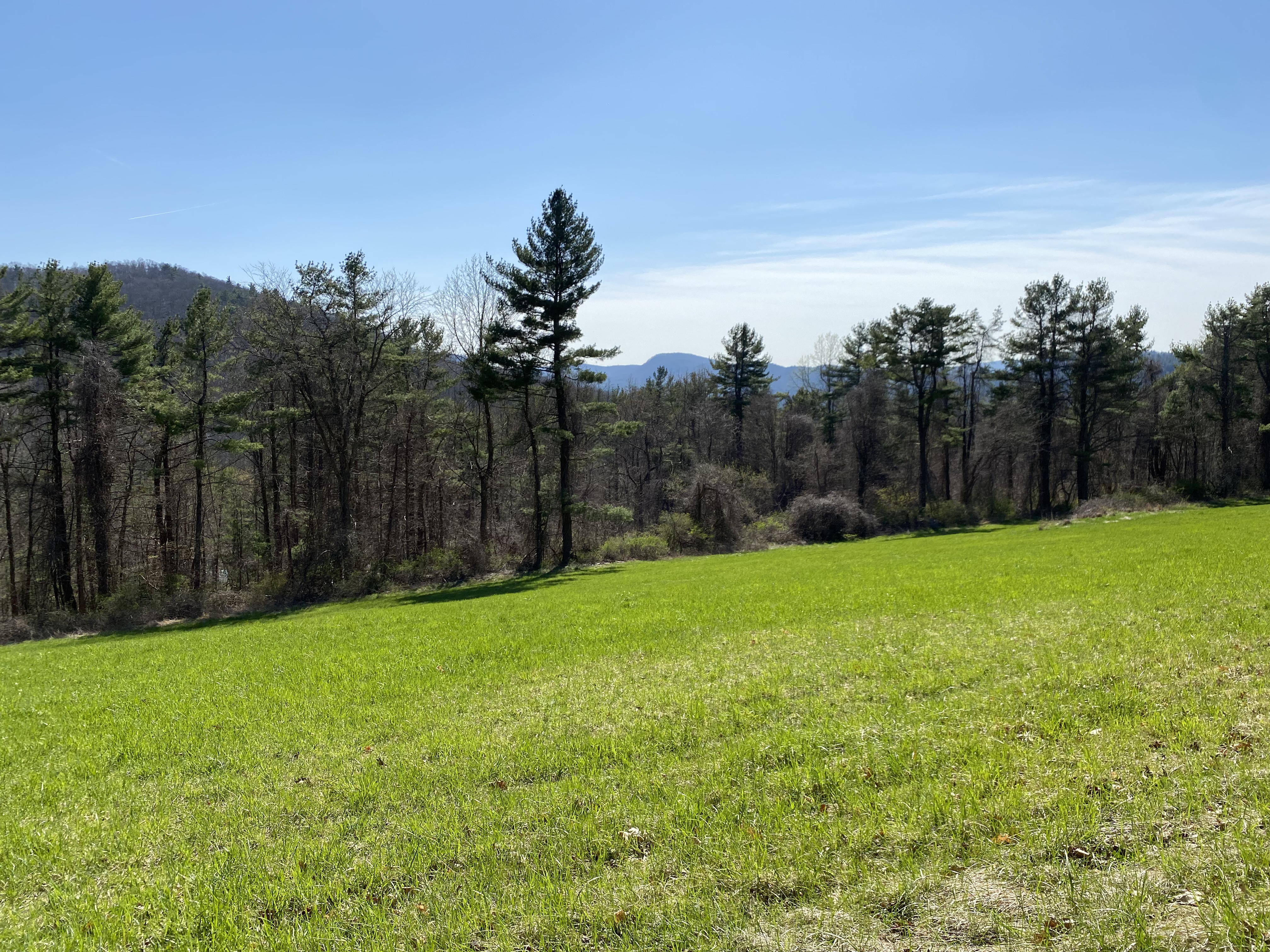  198-2 Beebe Hill Road - 物件實景