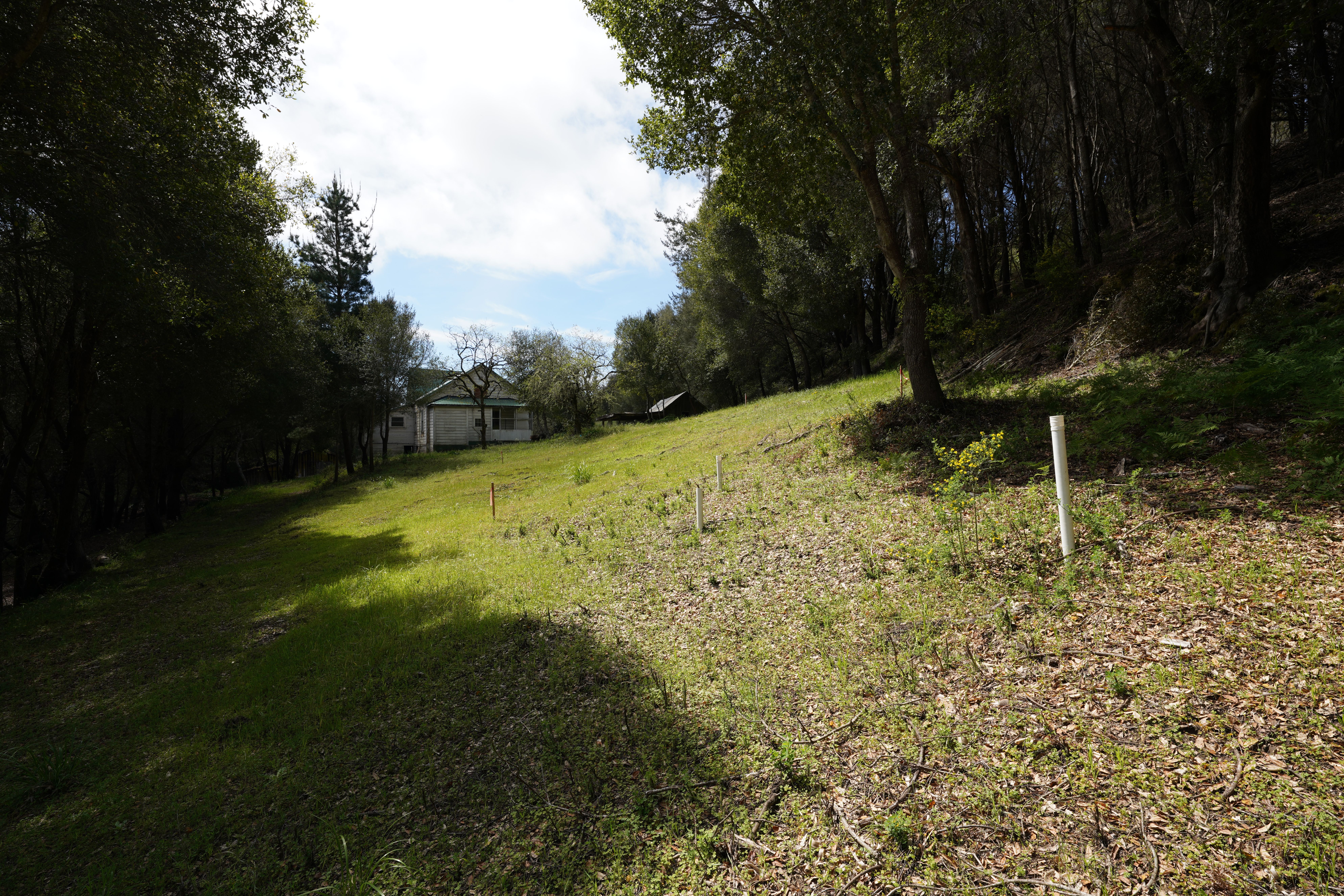  700 Valencia School Road, Aptos, CA 95003 - 物件實景