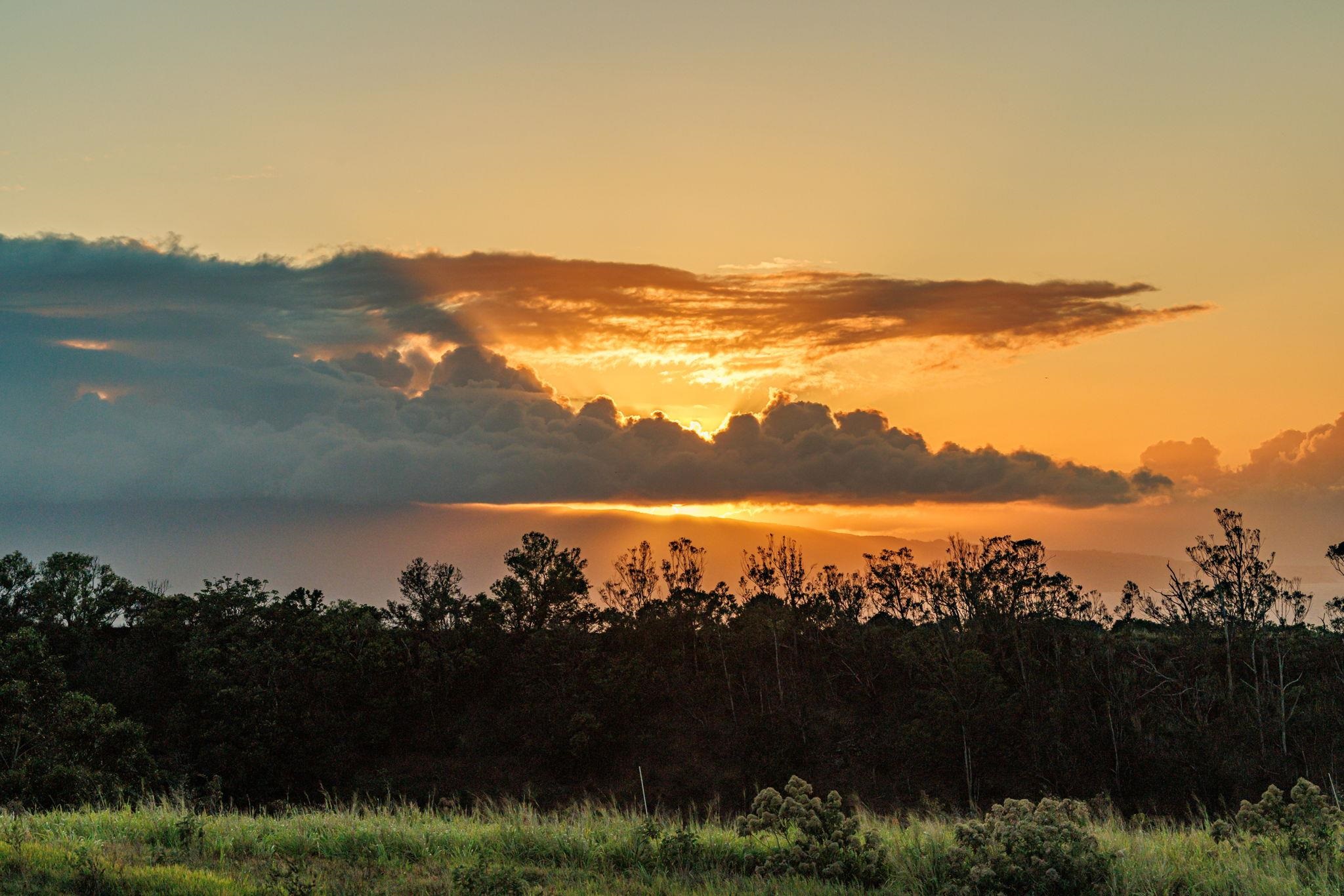 Haiku, Hawaii, 96708, United States, ,Land,For Sale,1796834