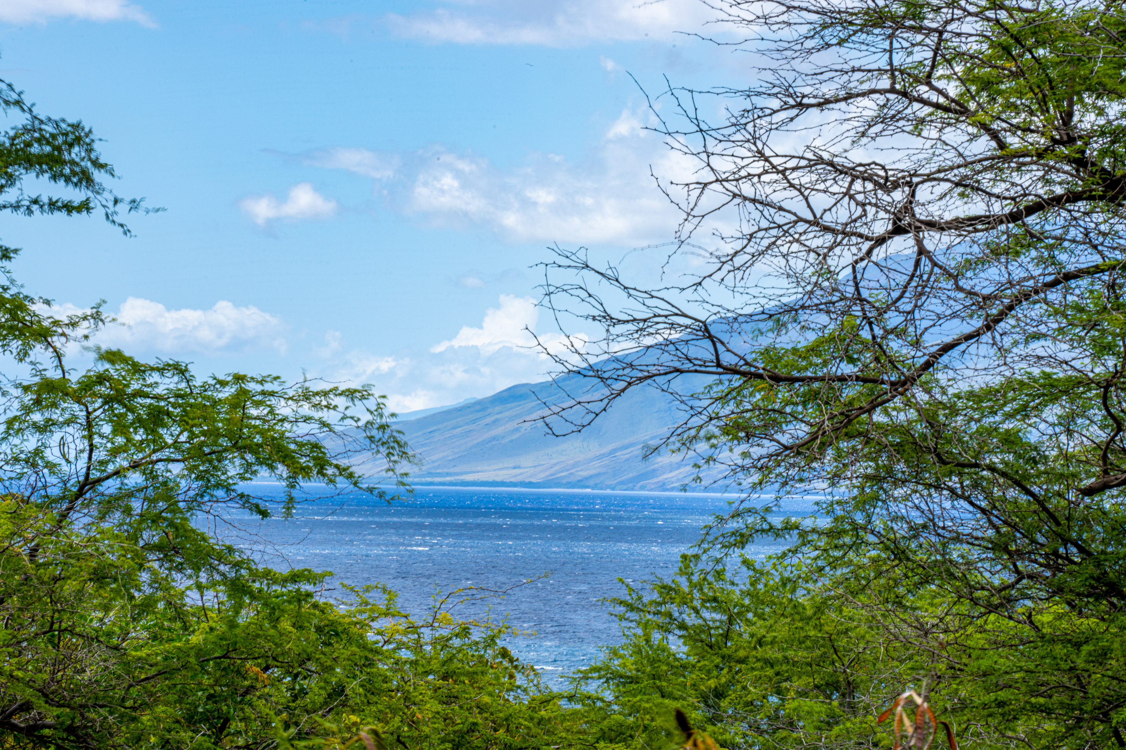  Rare Opportunity to Build in Maui