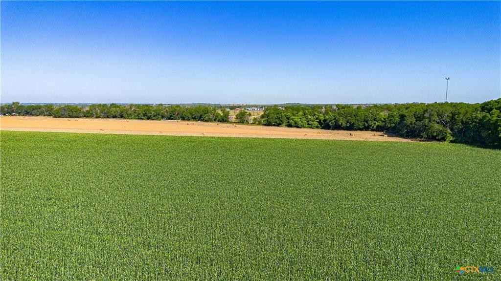 Mcqueeney, Texas, 78123, United States, ,Land,For Sale,1980081