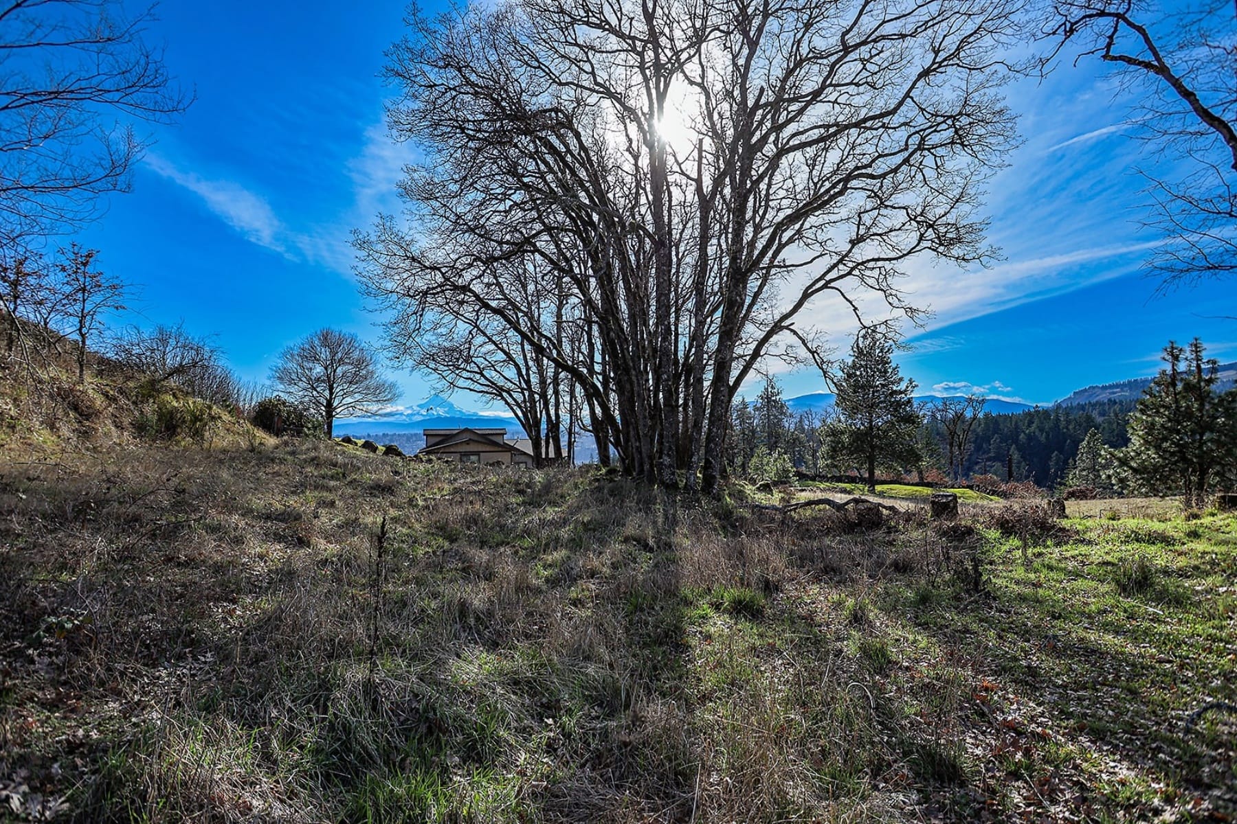  1170 SW THORNTON DR White Salmon, WA 98672 - 物件實景