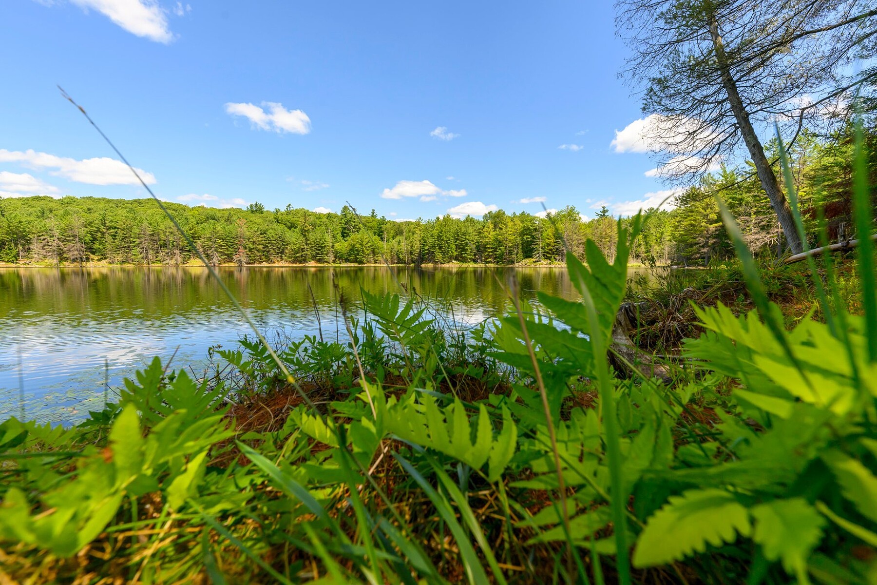  Cantley, Outaouais - 物件實景