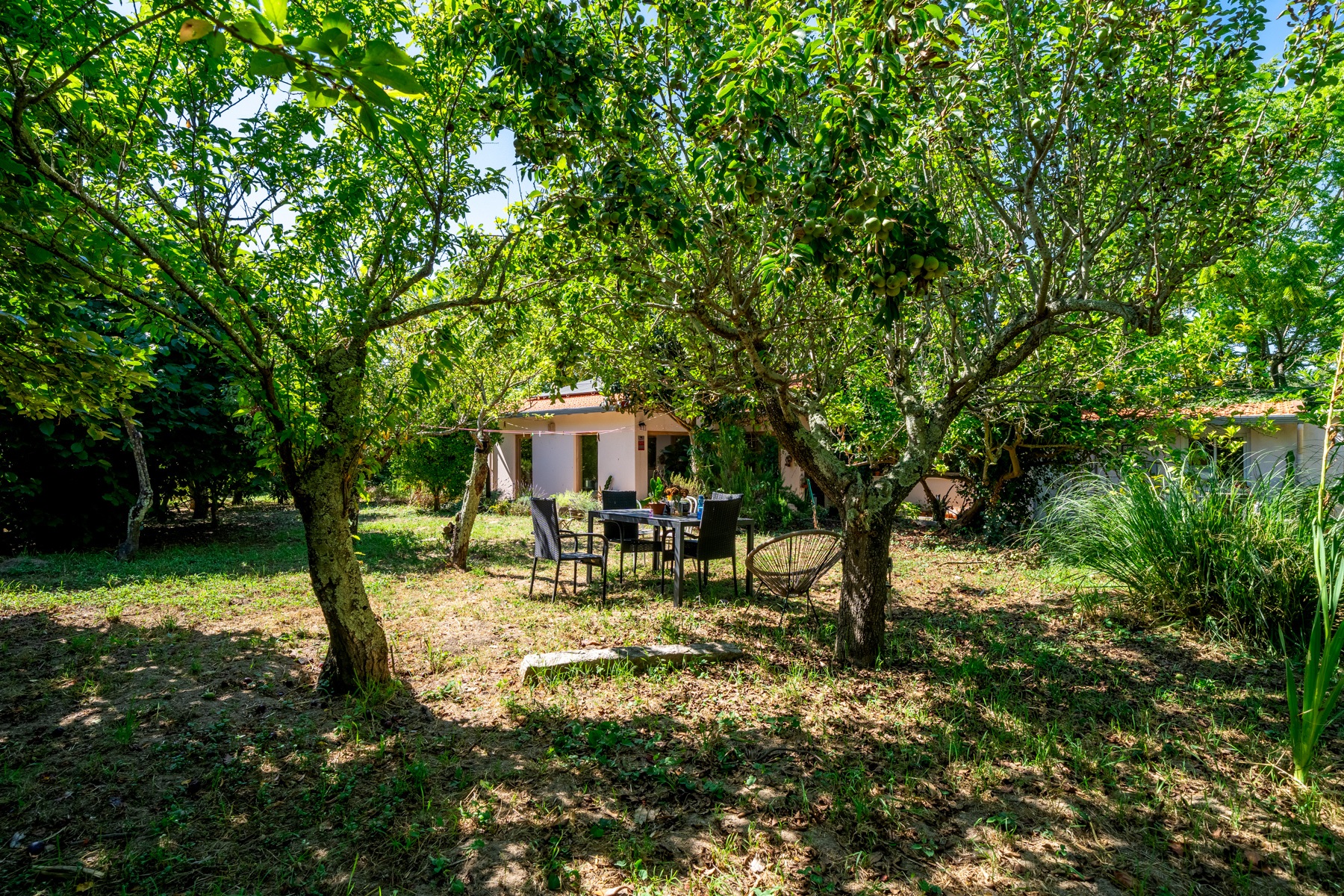  Detached house, 7 bedrooms, for Sale - 物件實景