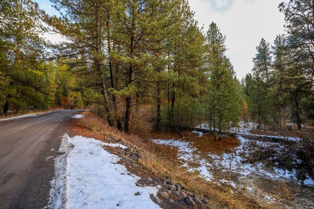 New Meadows, Idaho, 83654, United States, ,Land,For Sale,2005639