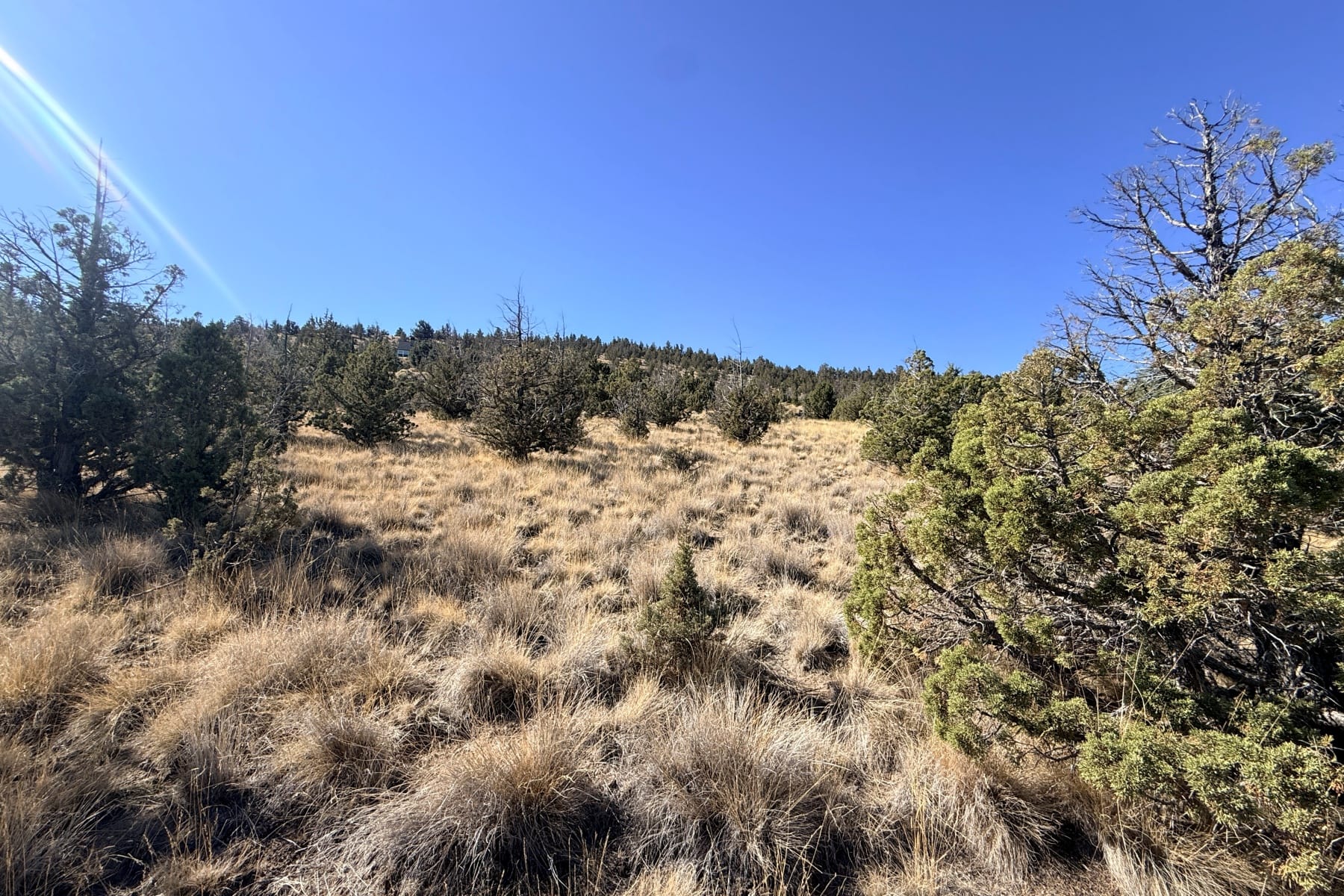  1000 SE Night Hawk Court Prineville, OR 97754 - 物件實景