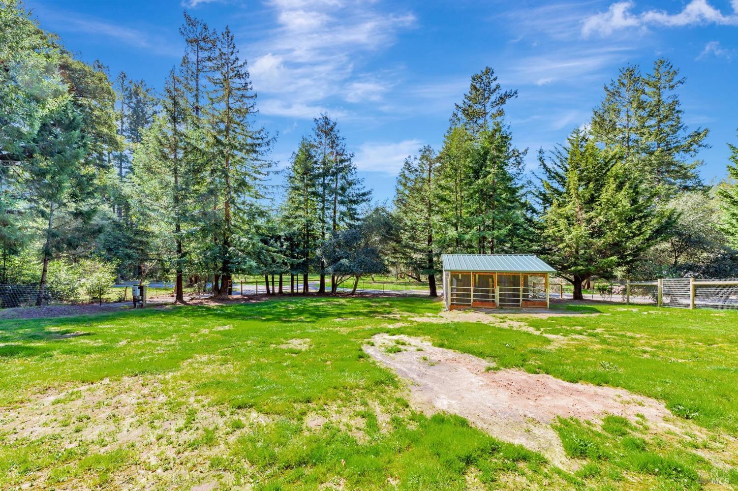 Sebastopol, California, 95472, United States, 4 Bedrooms Bedrooms, ,3 BathroomsBathrooms,Residential,For Sale,1989317