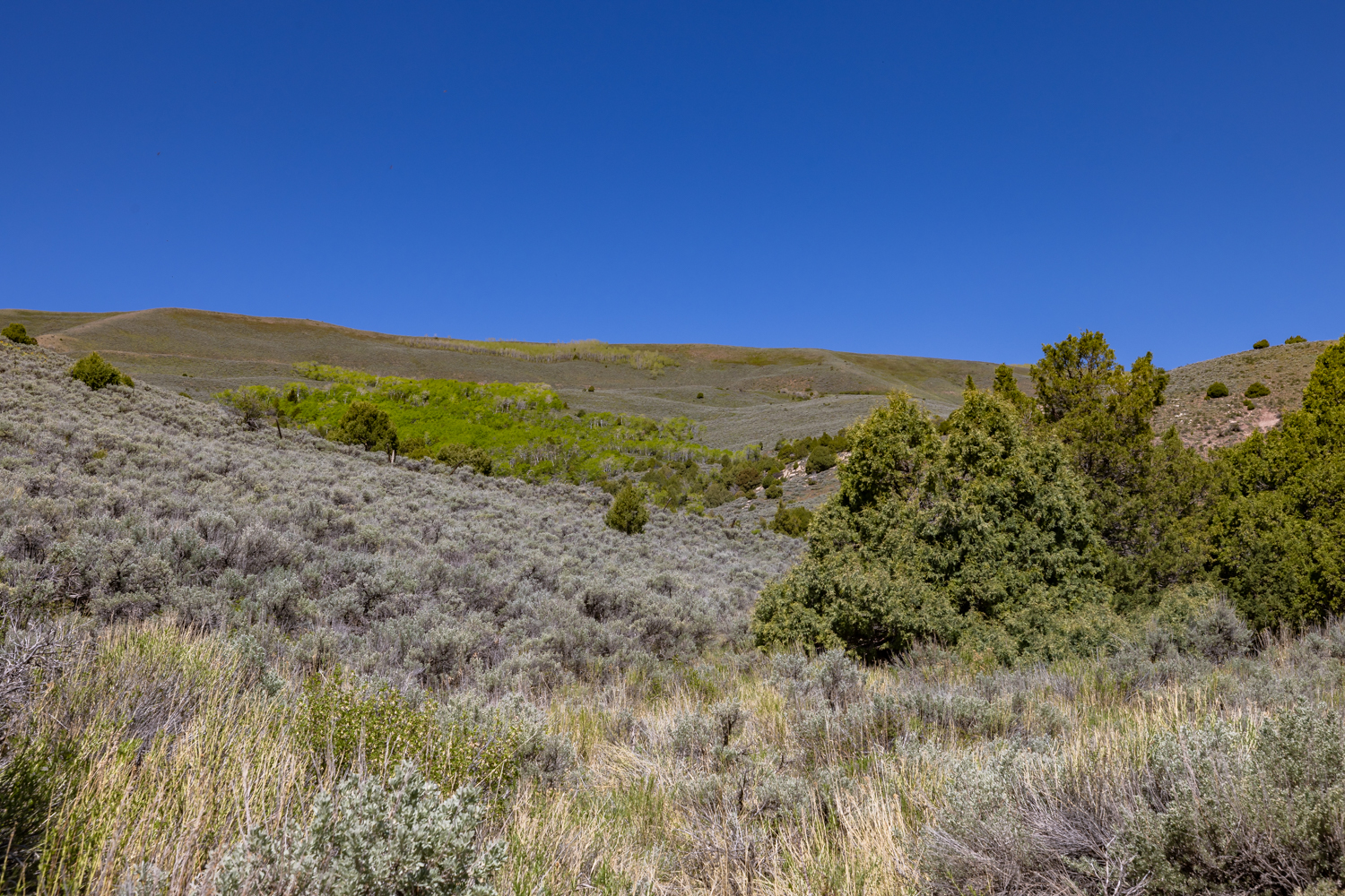 Lapoint, Utah, 84039, United States, ,Land,For Sale,1977386