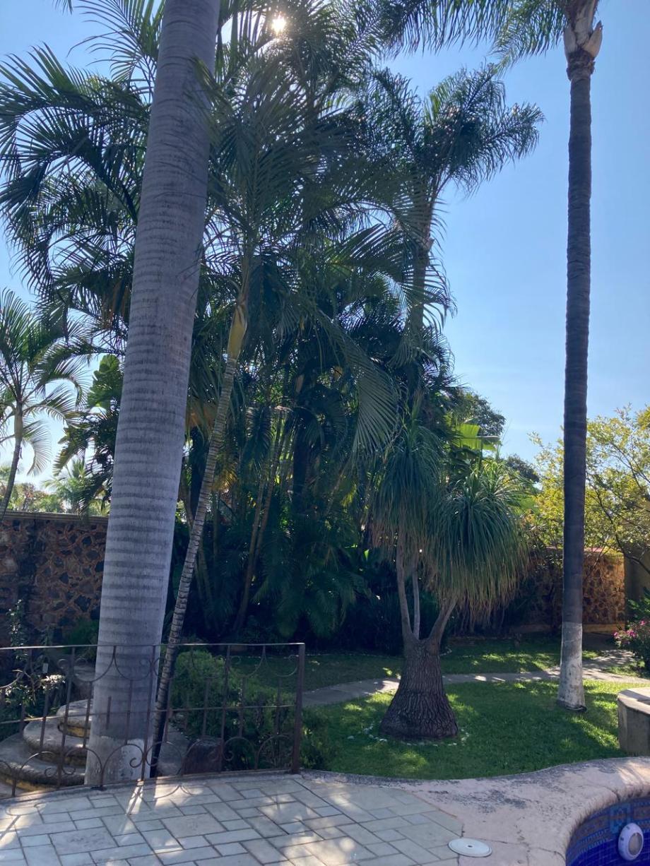 Cuernavaca, Morelos, 62360, Mexico, 4 Bedrooms Bedrooms, ,5 BathroomsBathrooms,Residential,For Sale,1714437
