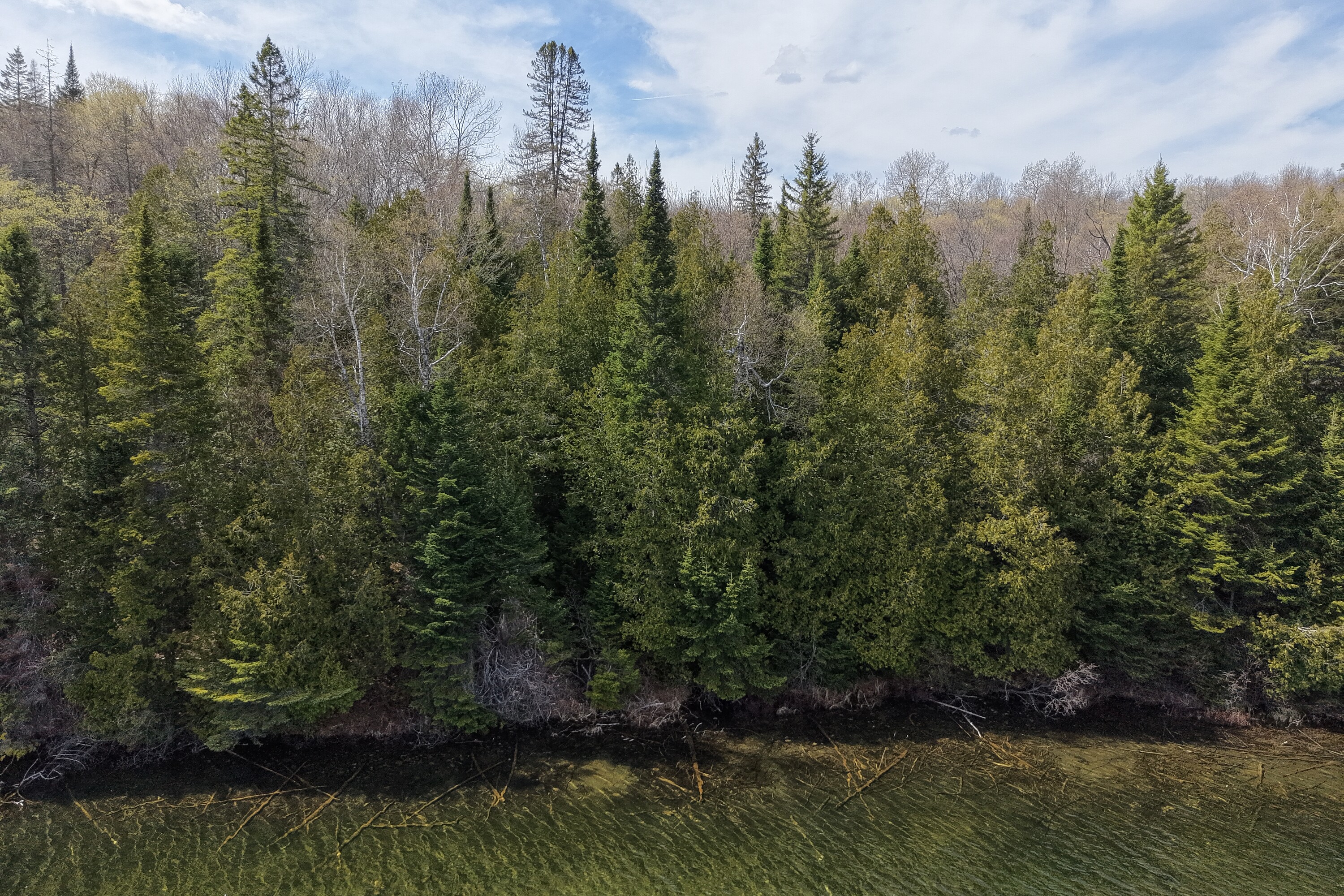  Charlotte Lake Acreage - 物件實景