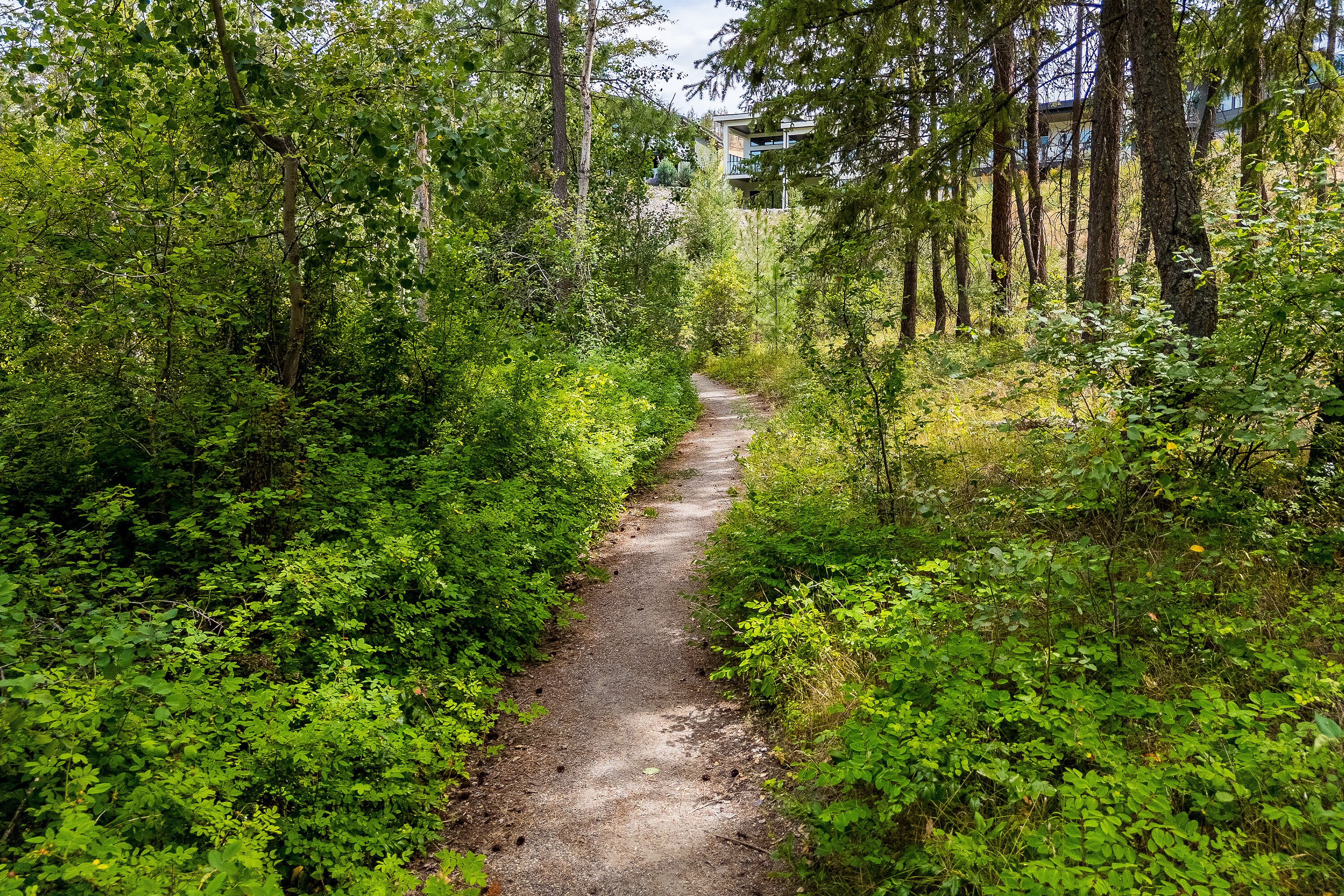  Walkout Rancher in Lakestone - 物件實景