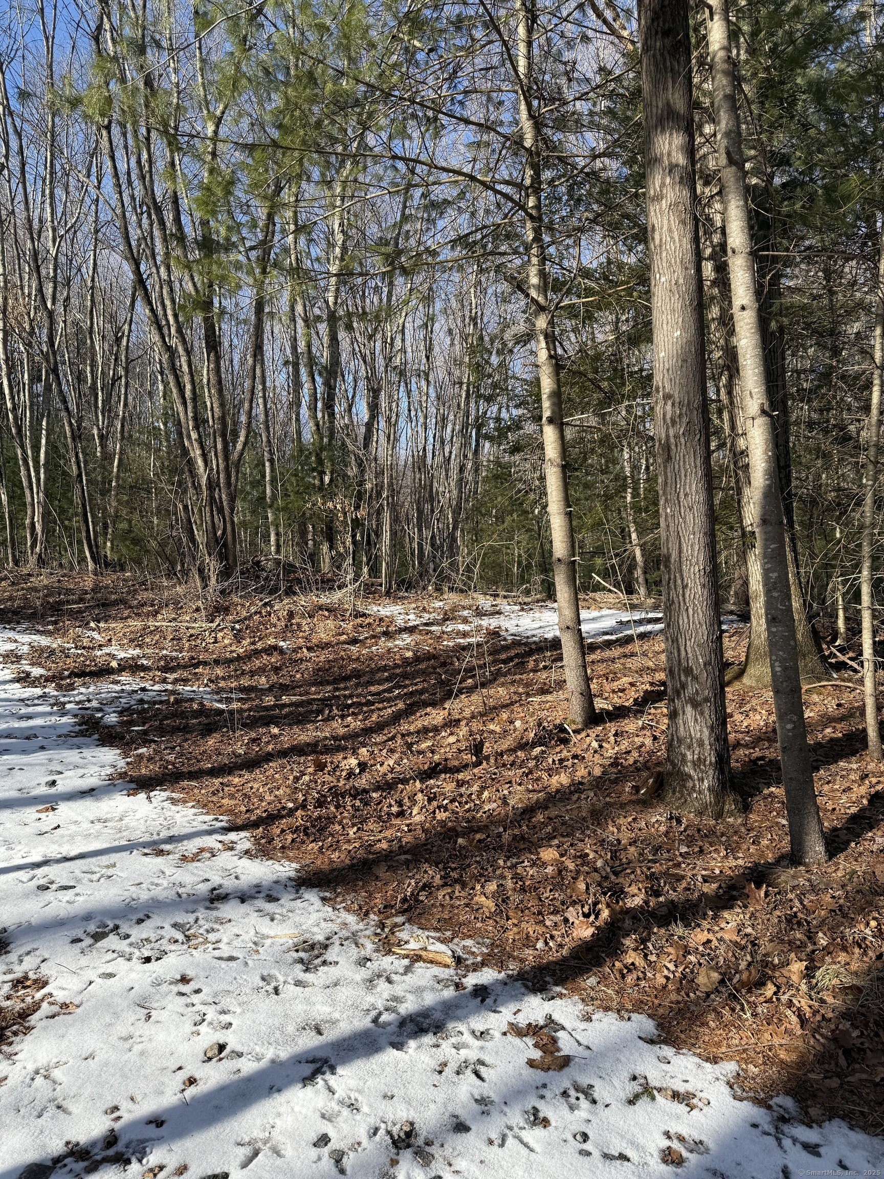 Burlington, Connecticut, 06013, United States, ,Land,For Sale,1982726