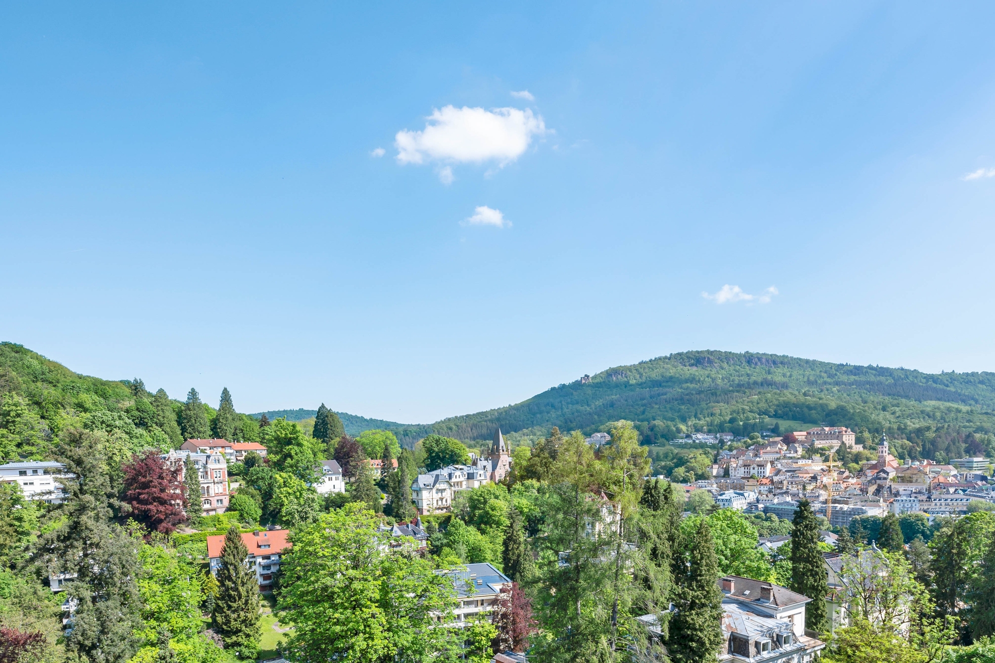  The Belvedere Penthouse—Beautiful Living in a Scenic Location - 物件實景