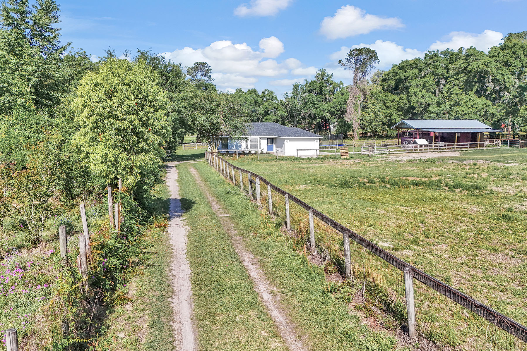  OCALA - 物件實景