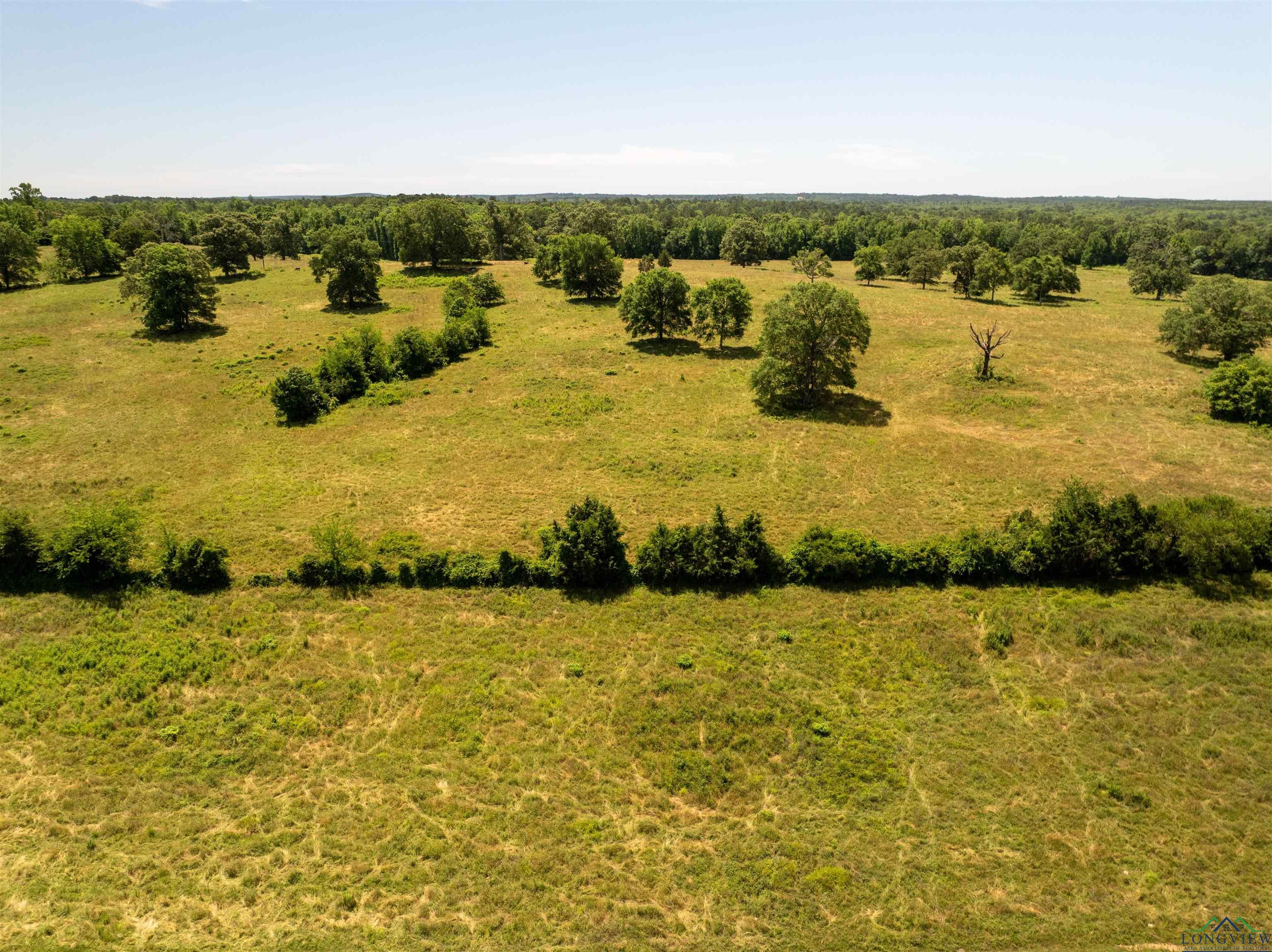 7557 FM 248, Lodi, Texas, 75564, United States, ,Residential,For Sale,7557 FM 248,1614560