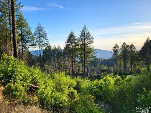 6200 cavedale RD, Glen Ellen, California, 95442, United States, 4 Bedrooms Bedrooms, ,4 BathroomsBathrooms,Residential,For Sale,6200 cavedale RD,1341783