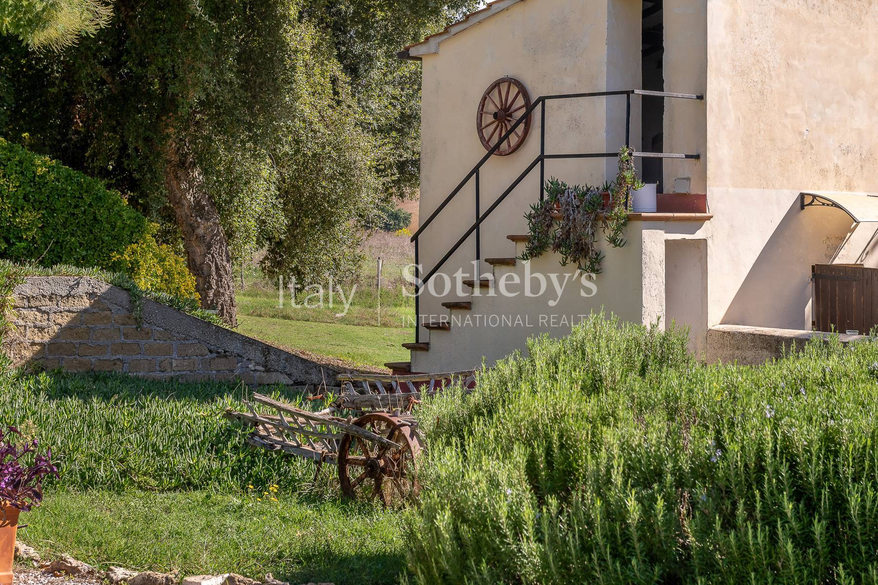  Charming Country Estate with Pool and Olive Grove in Maremma - 物件實景