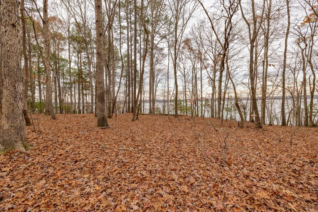 Lot 8 Serenity Point, Littleton, North Carolina, 28750, United States, ,Land,For Sale,Lot 8 Serenity Point,1659494