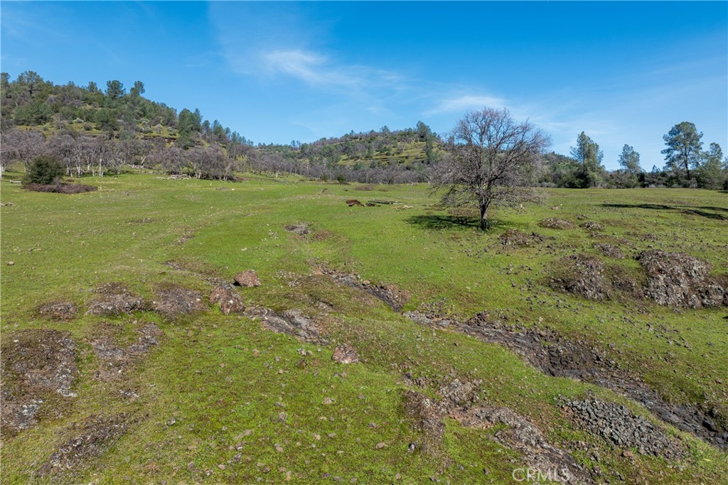 Chico, California, 95928, United States, ,Land,For Sale,1974273