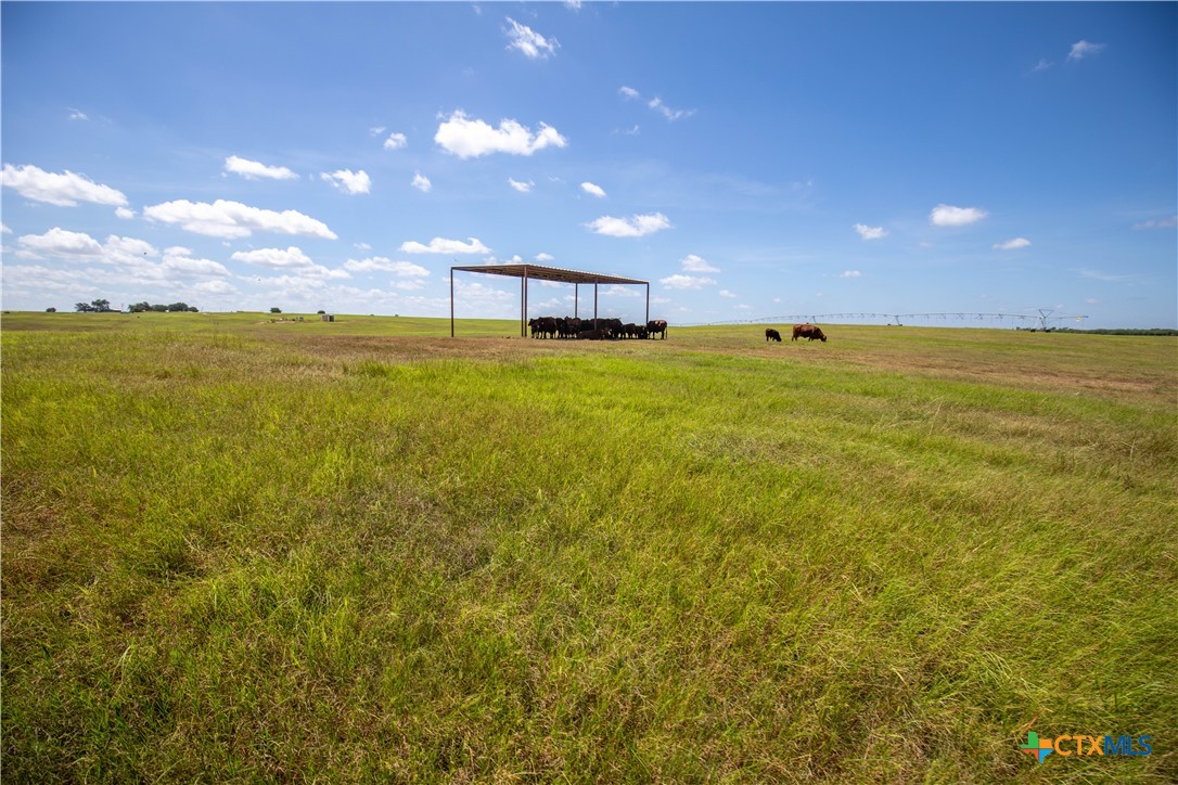 Kenedy, Texas, 78119, United States, ,Residential,For Sale,1967827