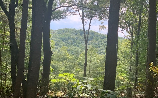 Jasper, Georgia, 30143, United States, ,Residential,For Sale,1916638