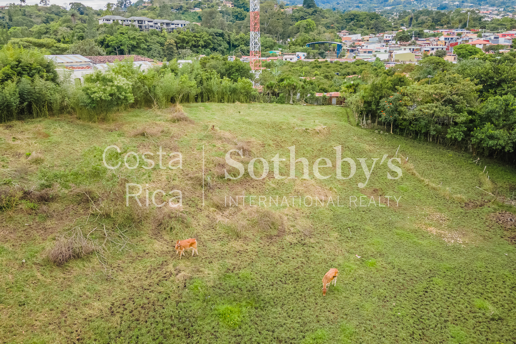  Land in San Rafael Escazú - 物件實景