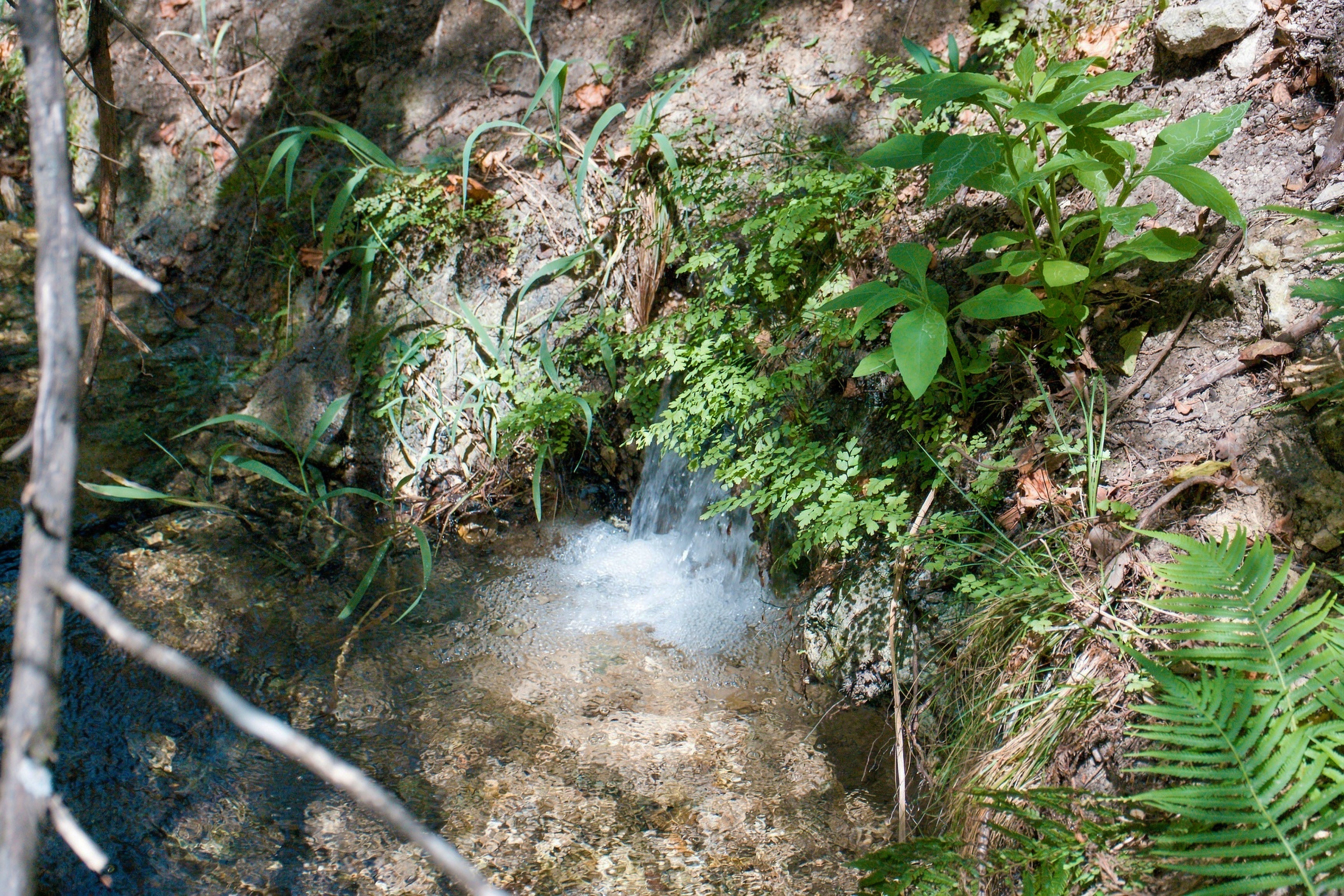  985+/- Acre 12 Springs Ranch - 物件實景