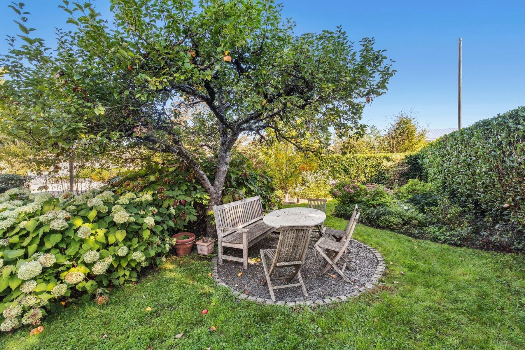  A charming property in Aire-la-Ville - 物件實景