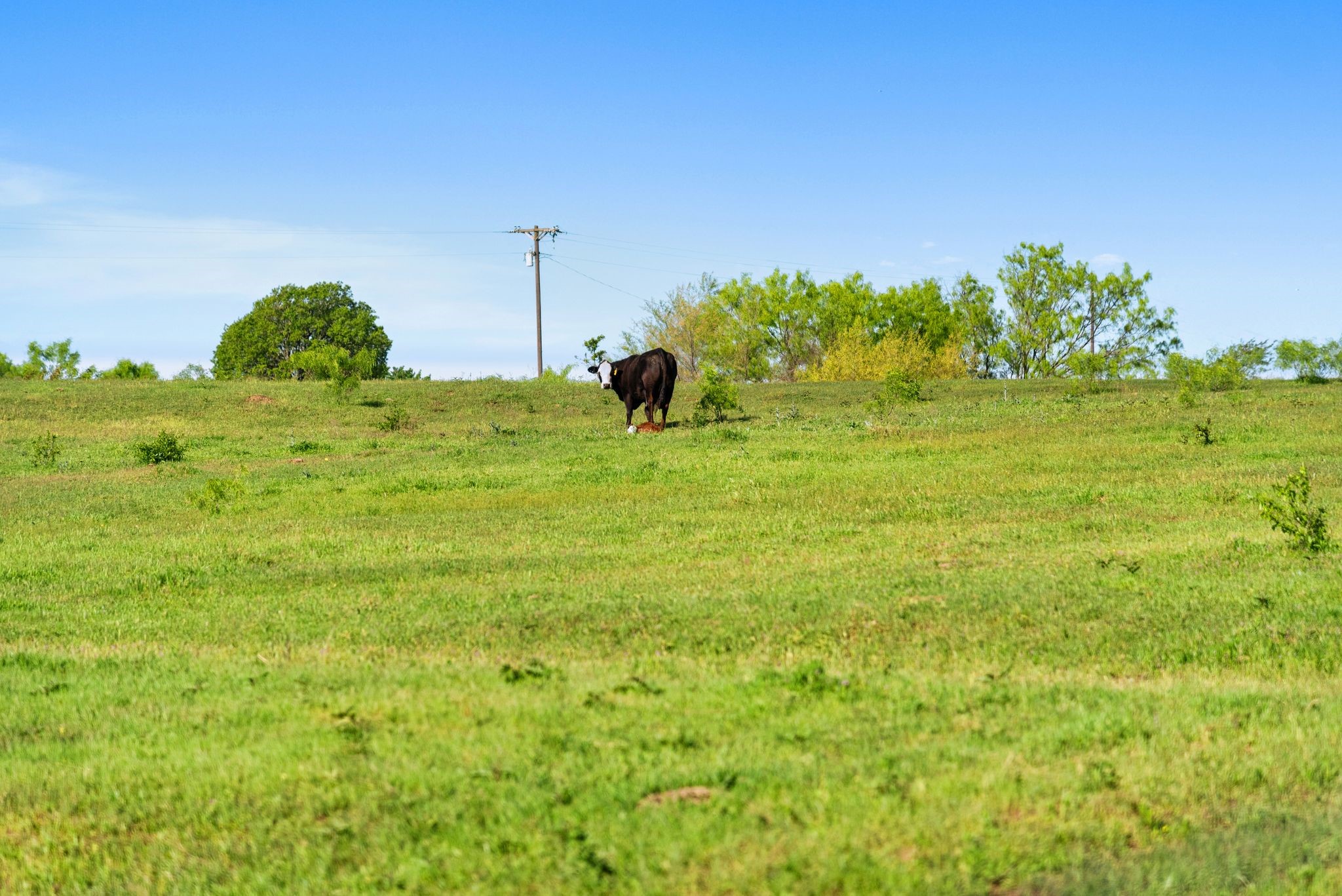 Alvord, Texas, 76225, United States, ,Land,For Sale,1751620