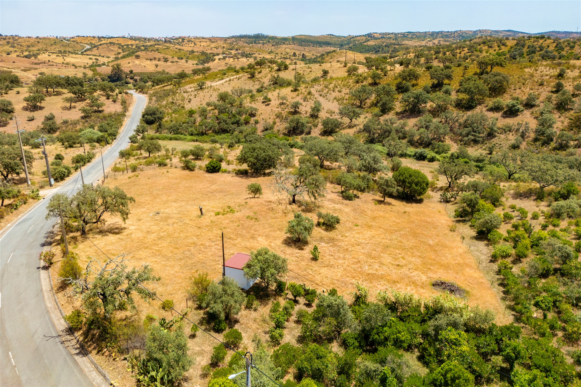  Farm, 4 bedrooms, for Sale - 物件實景