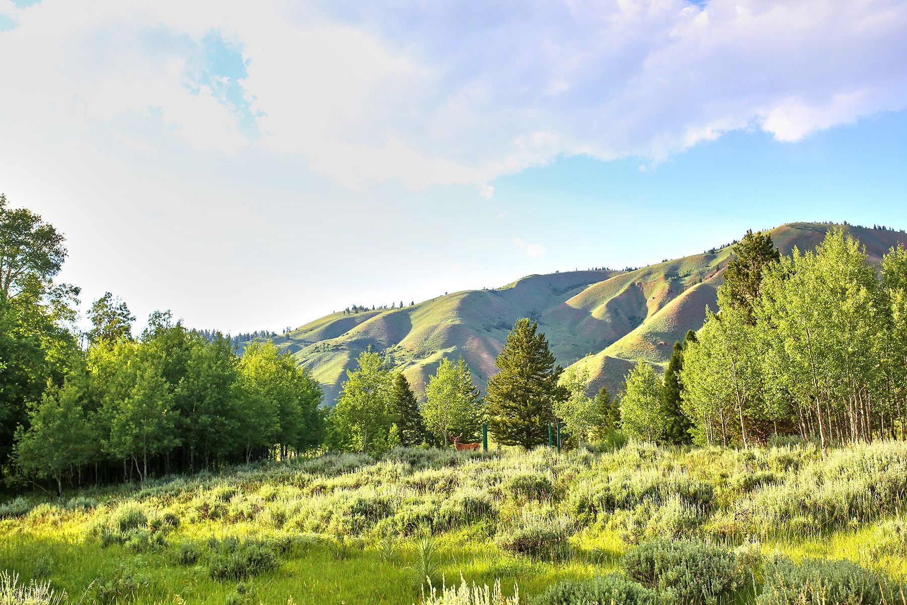  Snake River Sporting Club Lot - 物件實景