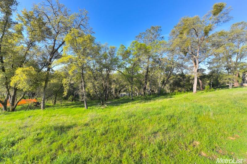 El Dorado Hills, California, 95762, United States, ,Land,For Sale,1993187