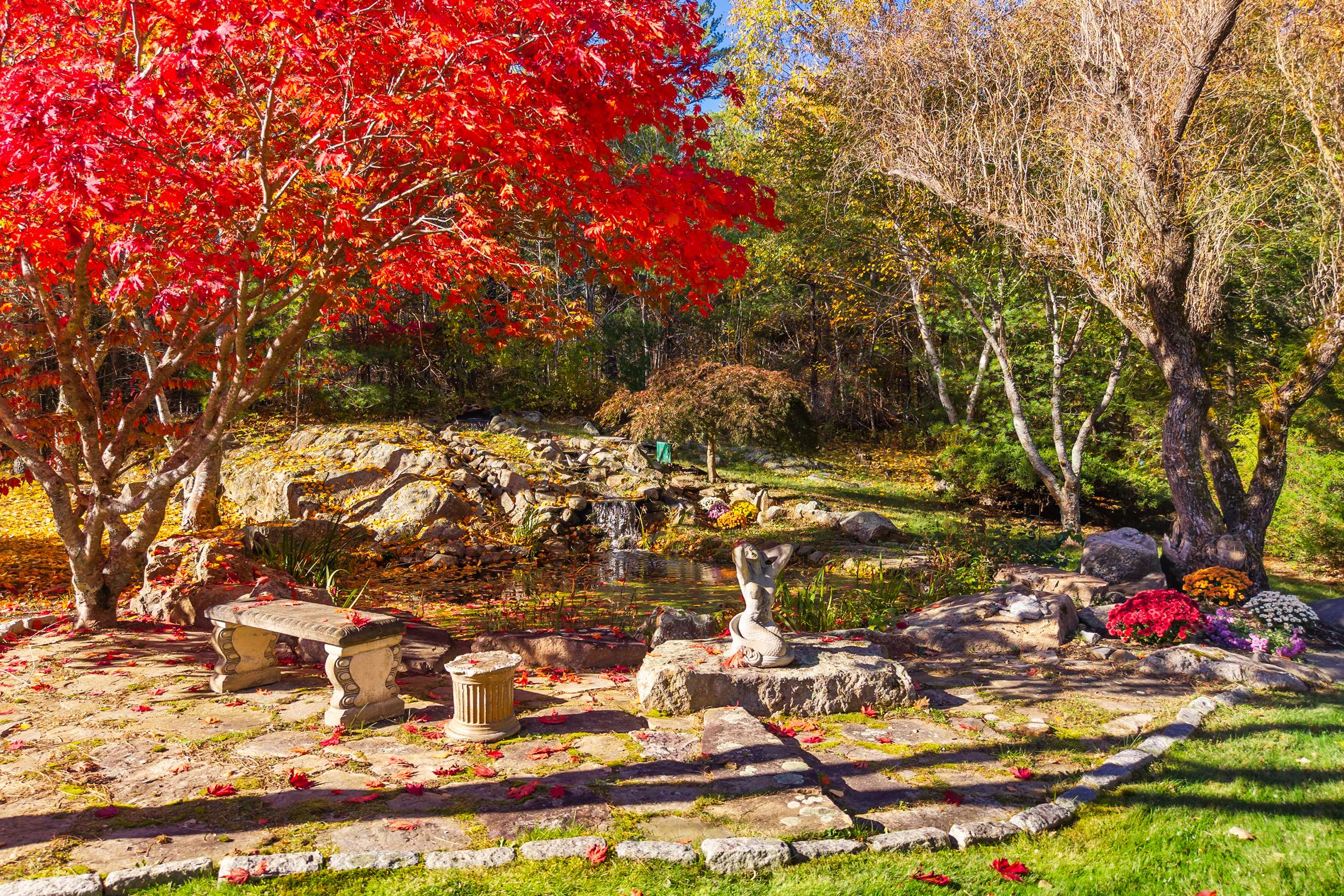  Private Contemporary Oasis in Cape Neddick - 物件實景