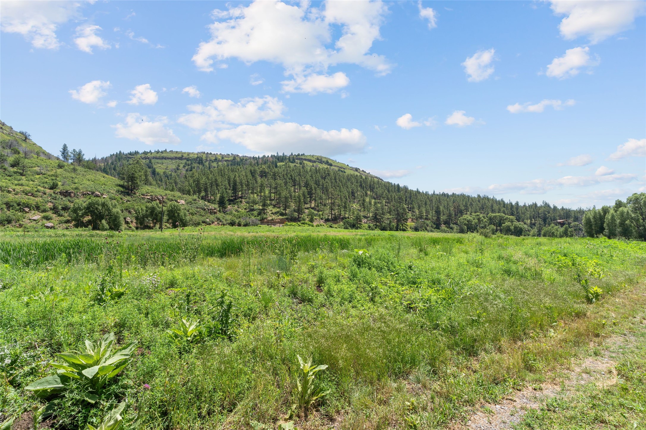  997 New Mexico Highway 65 - Rio de Vega Ranch - 物件實景