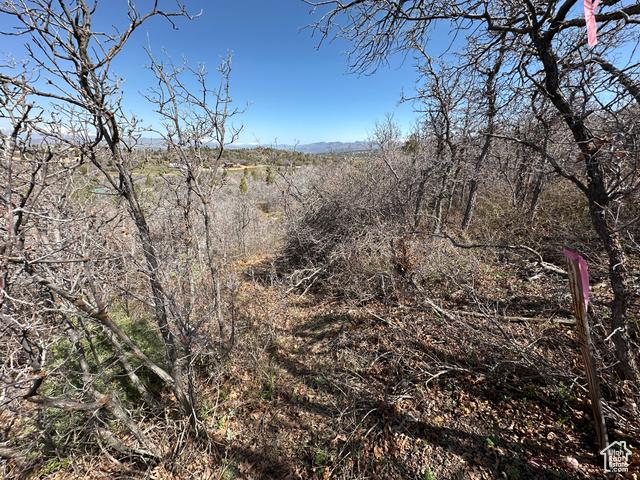 Mt Pleasant, Utah, 84647, United States, 4 Bedrooms Bedrooms, ,3 BathroomsBathrooms,Residential,For Sale,1921655