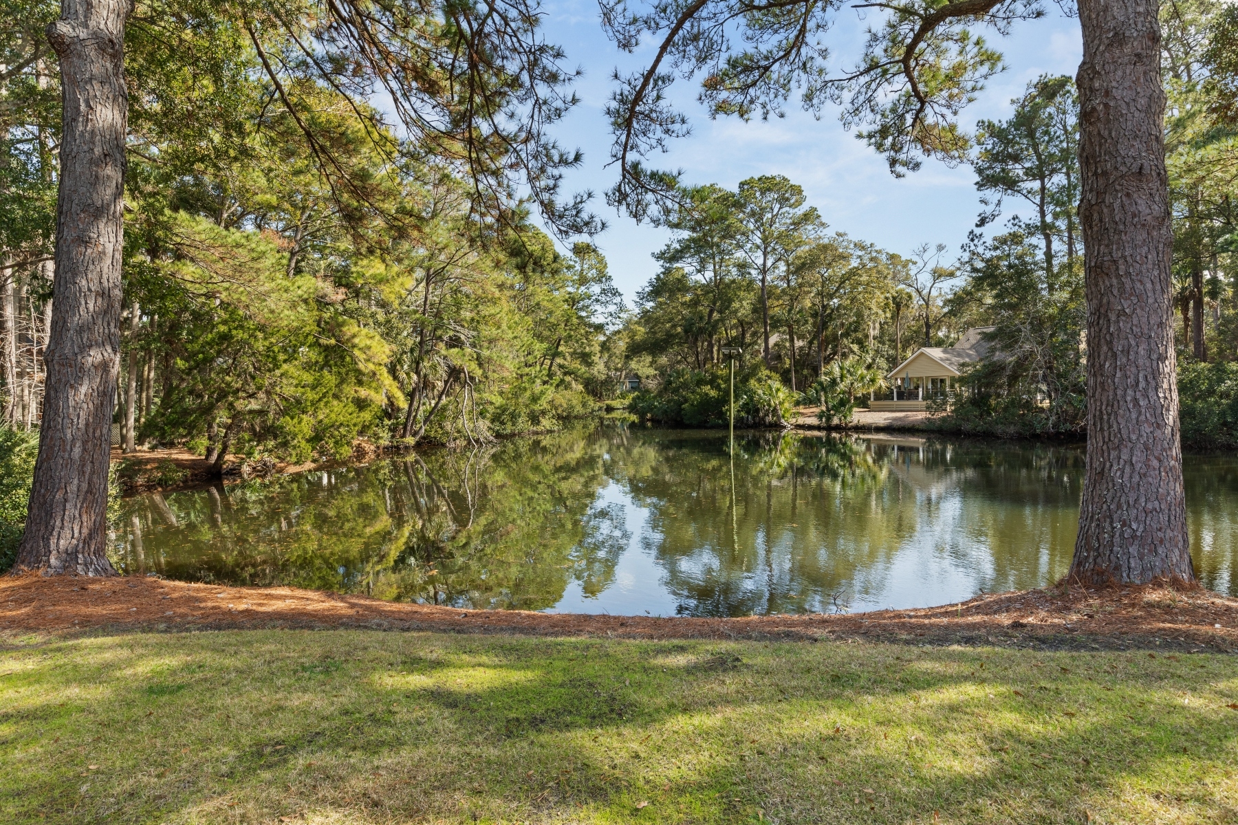  2105 Loblolly Lane - 物件實景