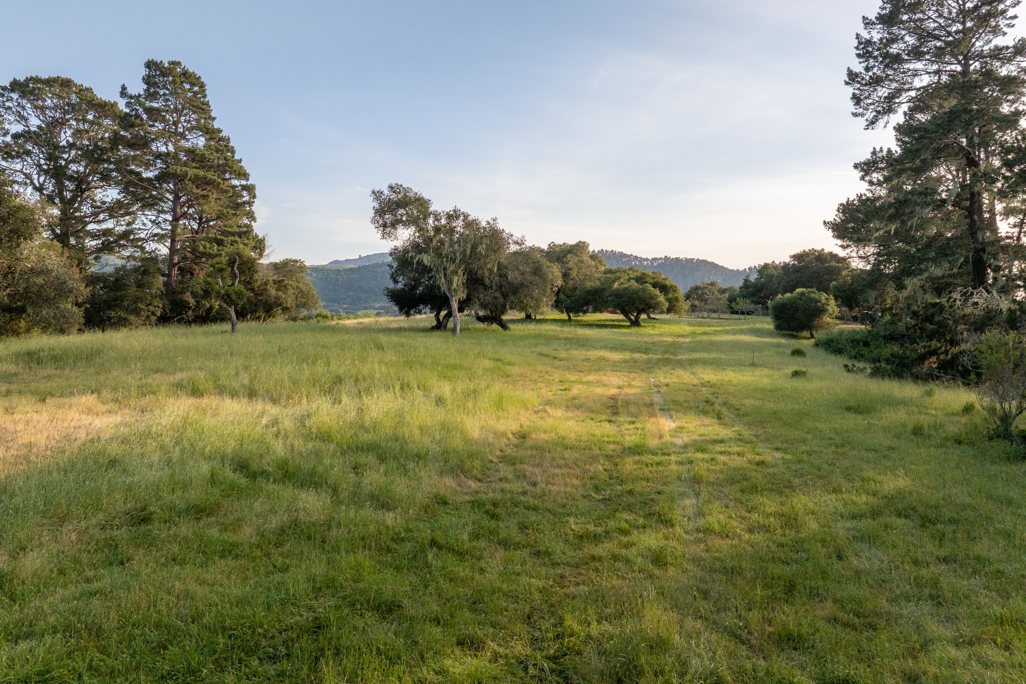  5155 Carmel Valley Road - 物件實景