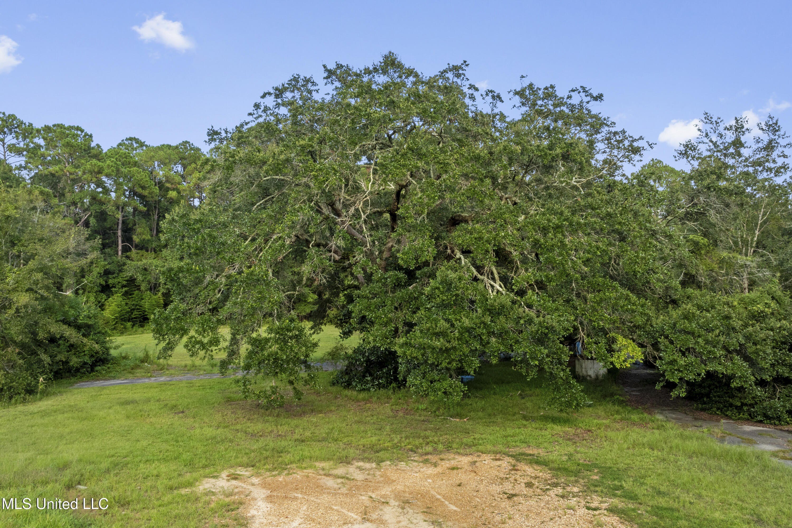Ocean Springs, Mississippi, 39564, United States, ,Land,For Sale,1983190