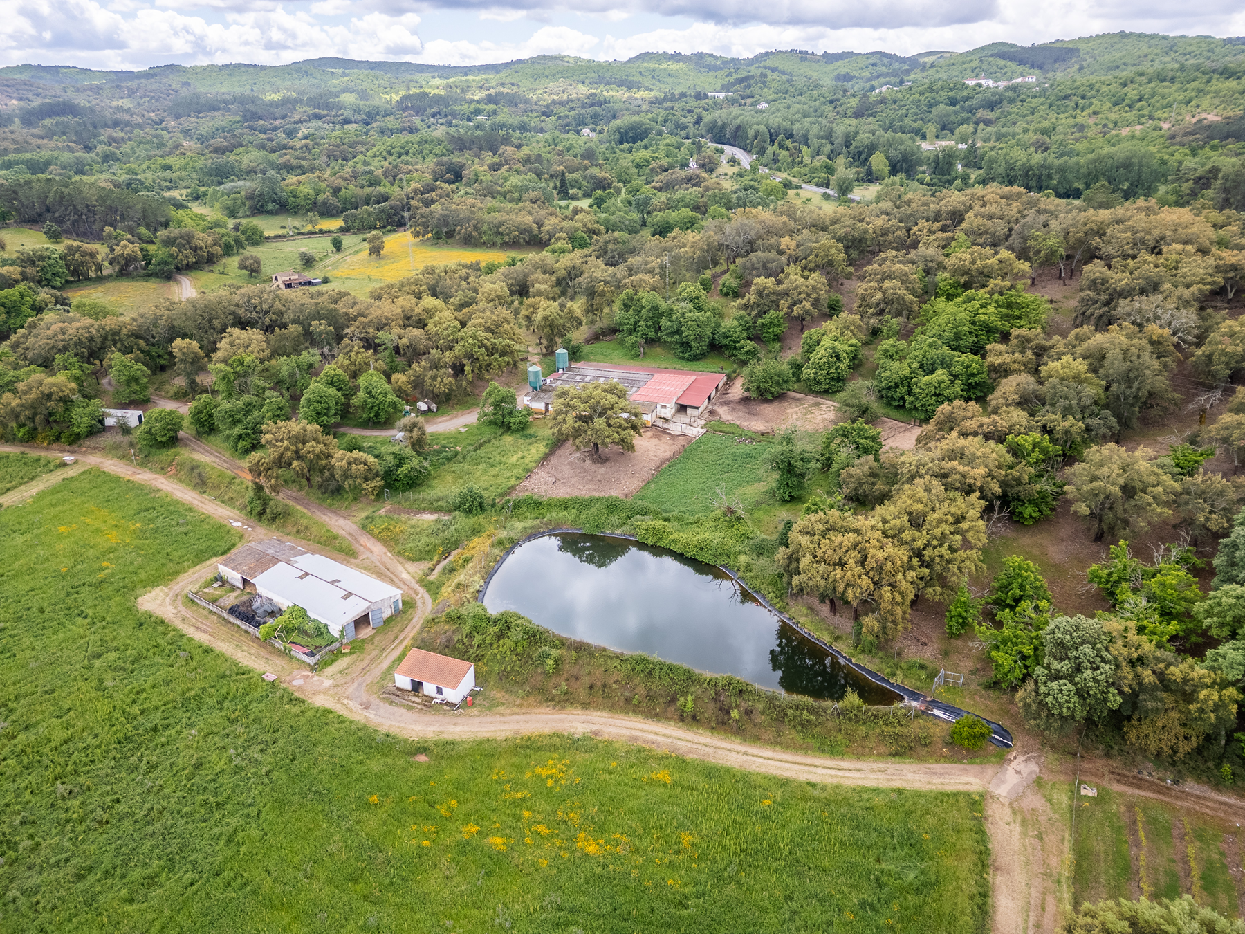  Cattle, equestrian, agricultural, and ecological farm in Aracena