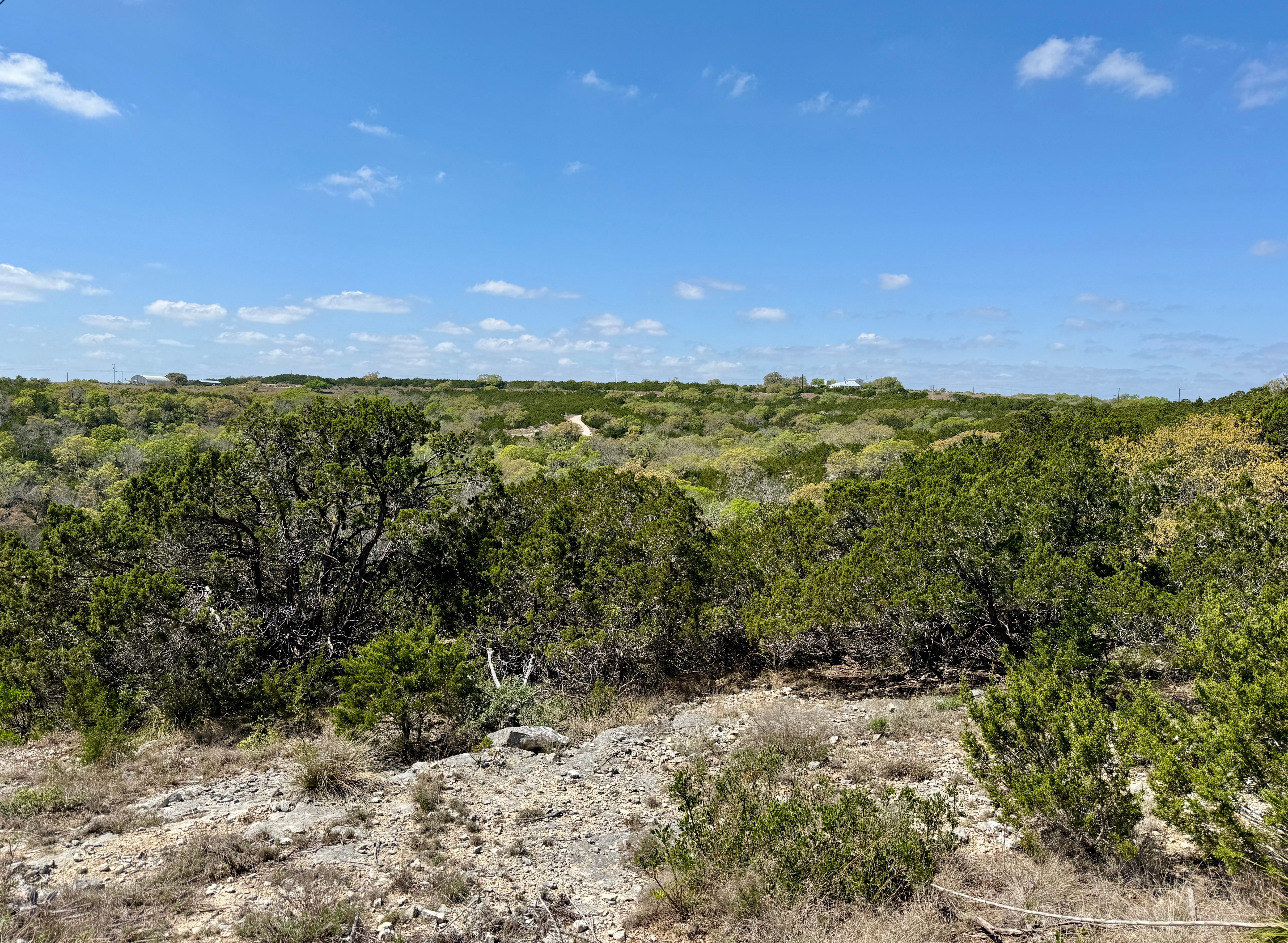  72+/- Acre Palmetto Creek Ranch - 物件實景