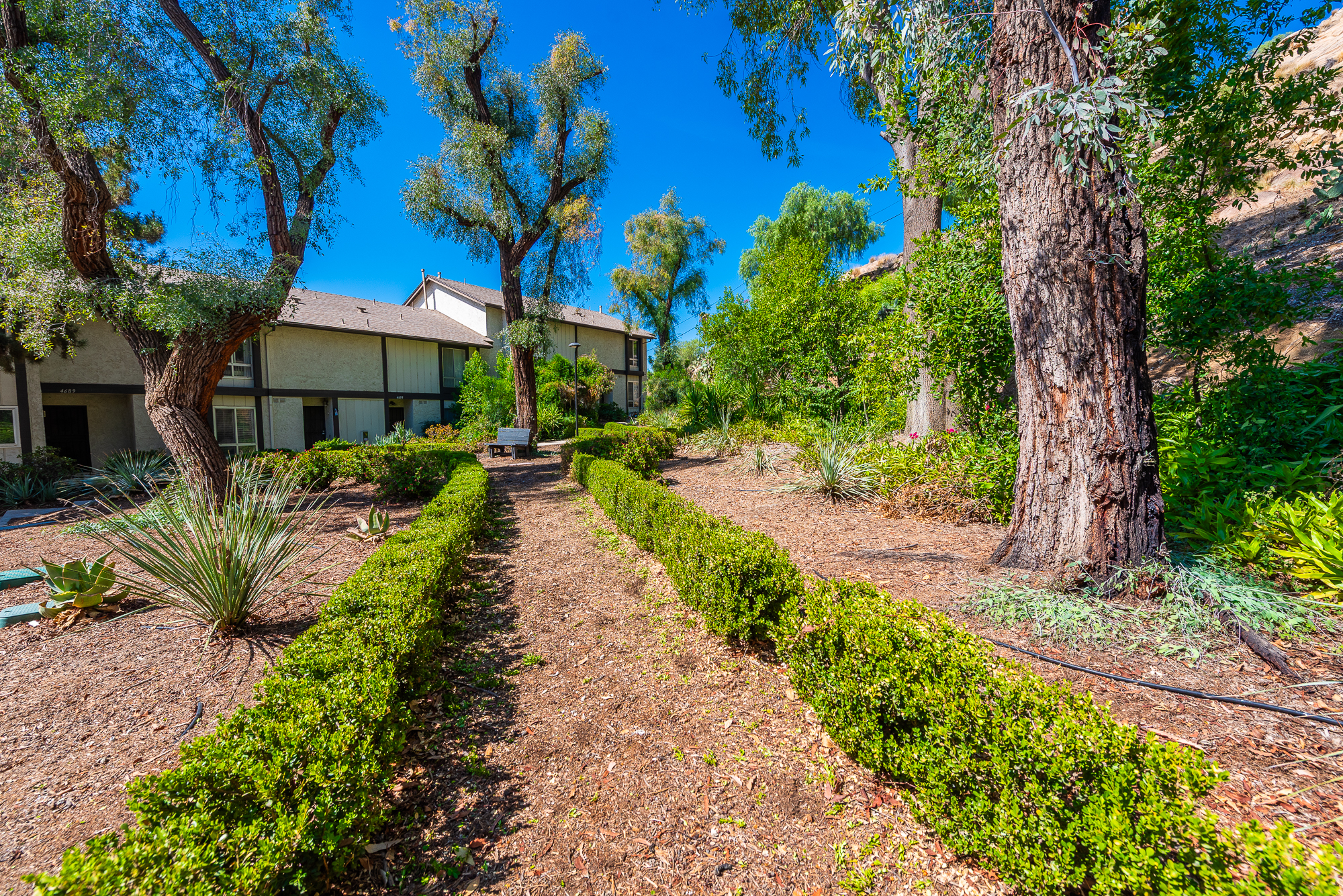  4679 Maxwell Court, Riverside, CA 92501 - 物件實景