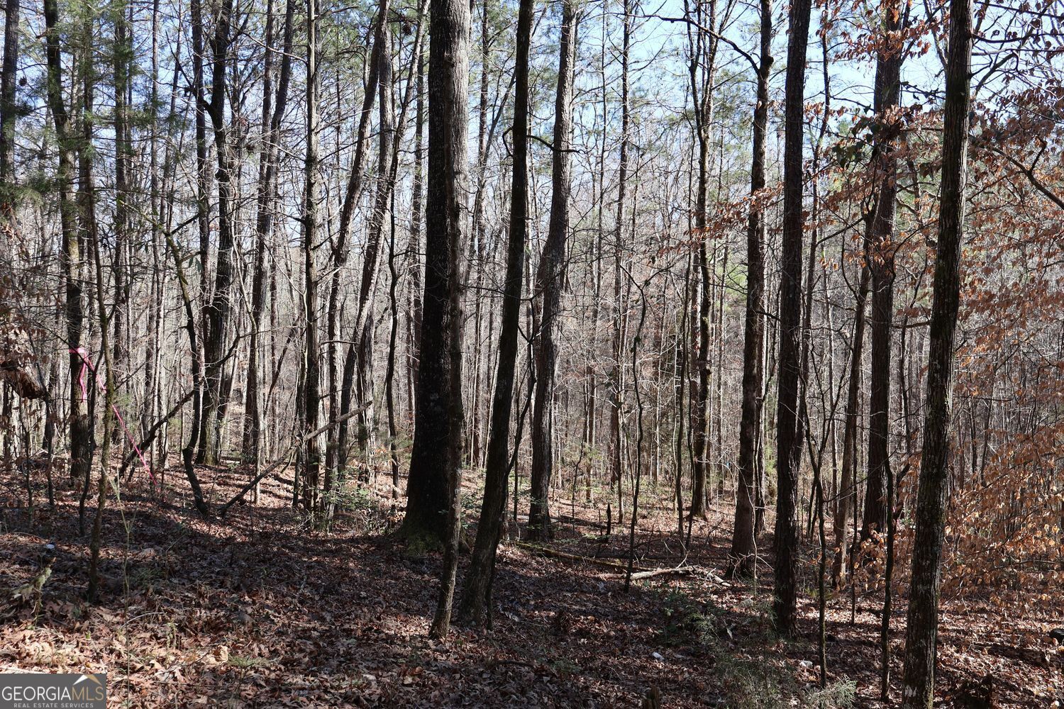 Forsyth, Georgia, 31029, United States, ,Land,For Sale,1907989