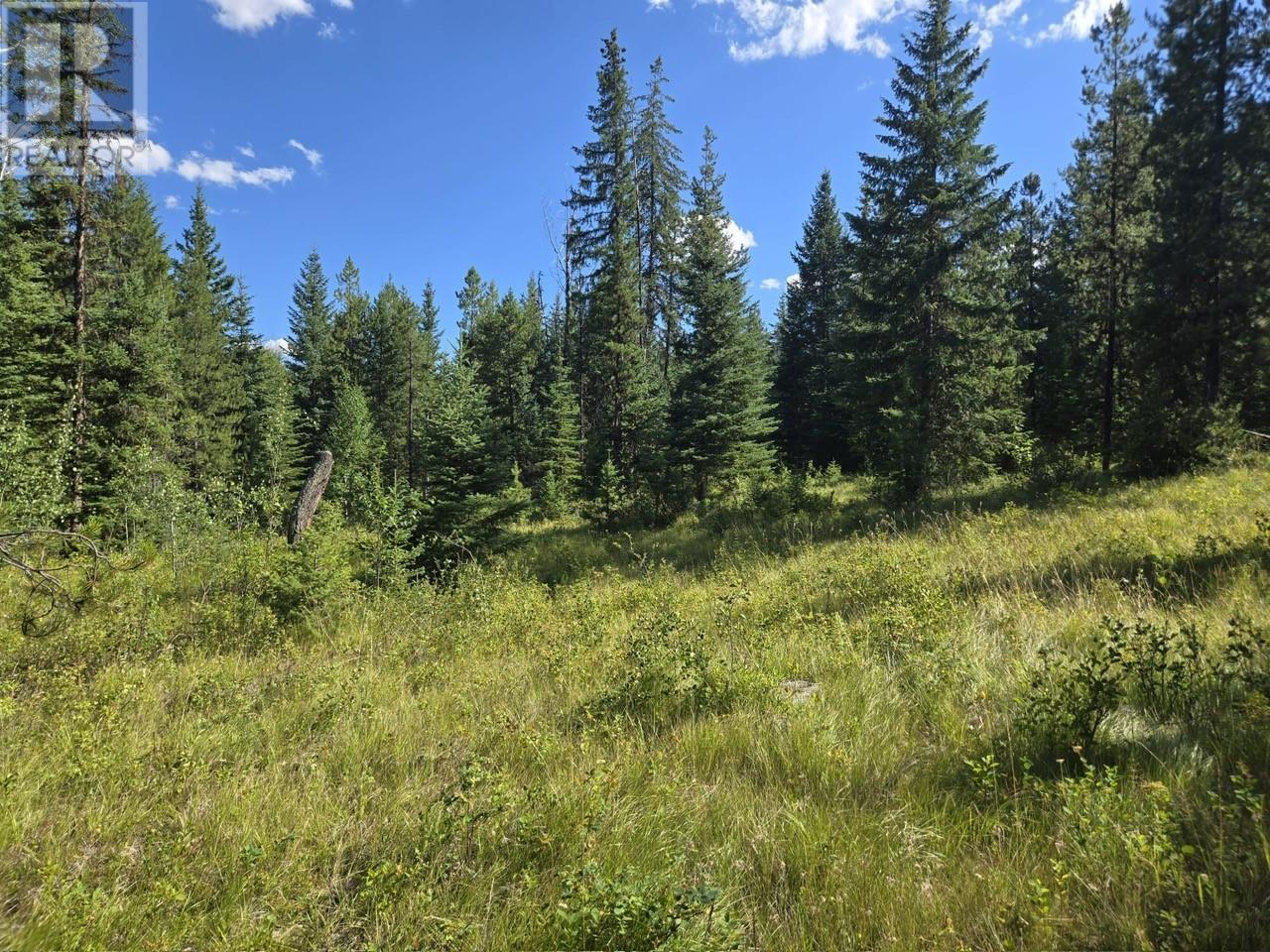 FALKLAND, British Columbia, V0E 1W1, CA, ,Residential,For Sale,1906760