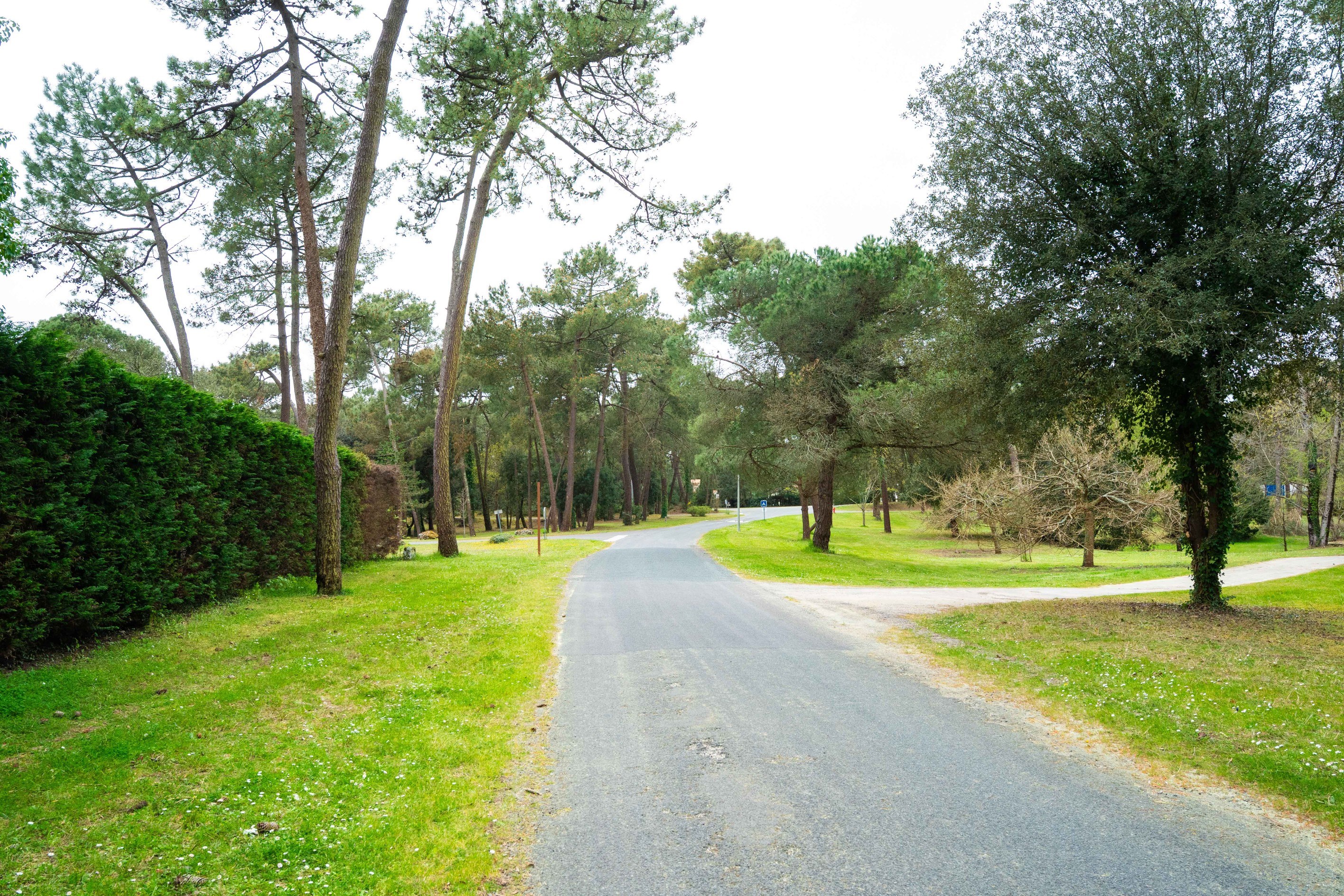  EXCEPTIONAL 1550 SQM PLOT PARK OF THE PALMYRE RESIDENCE - 物件實景