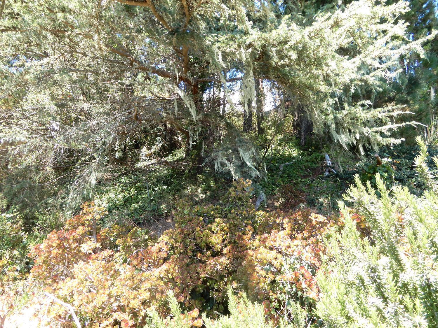 Daly City, California, 94015, United States, 3 Bedrooms Bedrooms, ,2 BathroomsBathrooms,Residential,For Sale,1914133